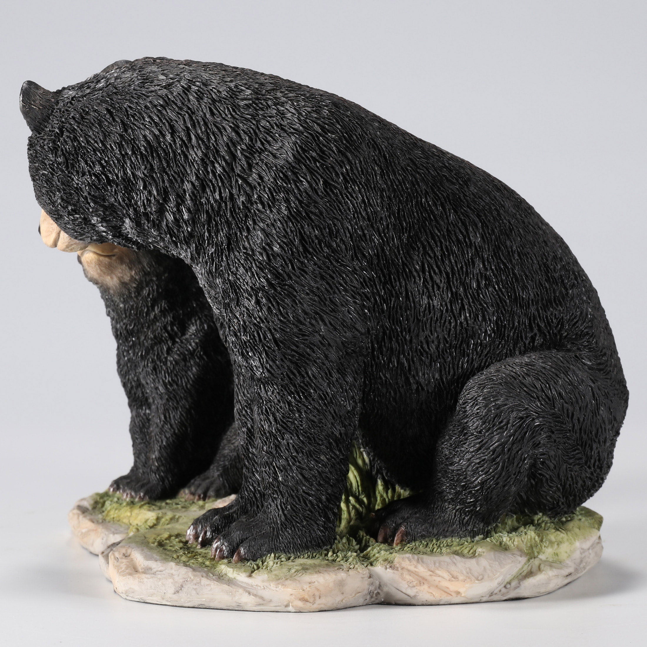 Black Bear Sitting With Her Cub