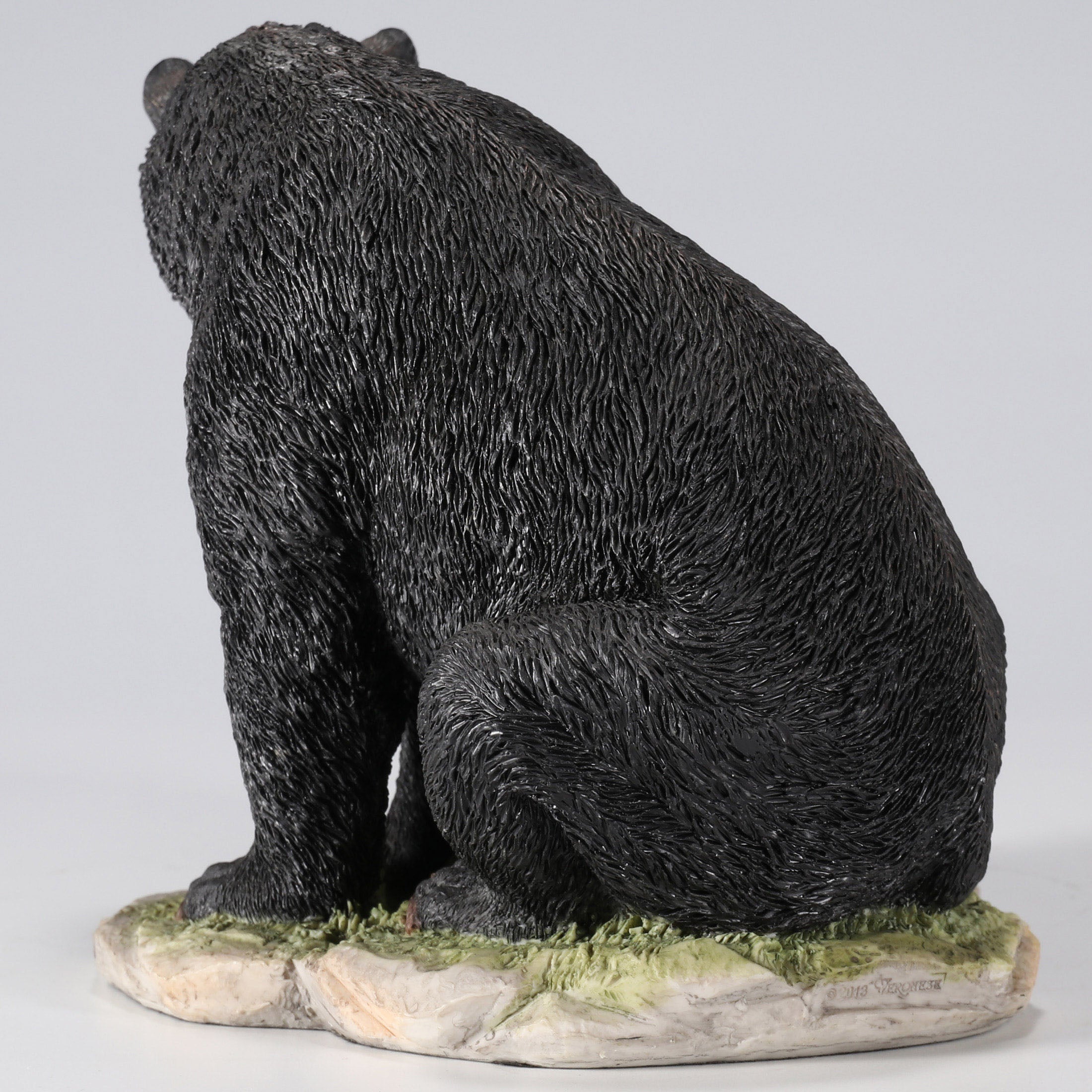 Black Bear Sitting With Her Cub