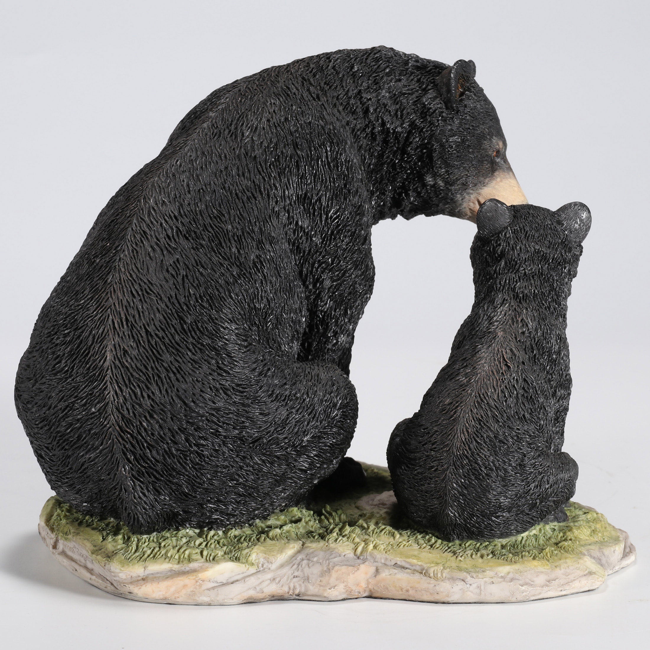 Black Bear Sitting With Her Cub