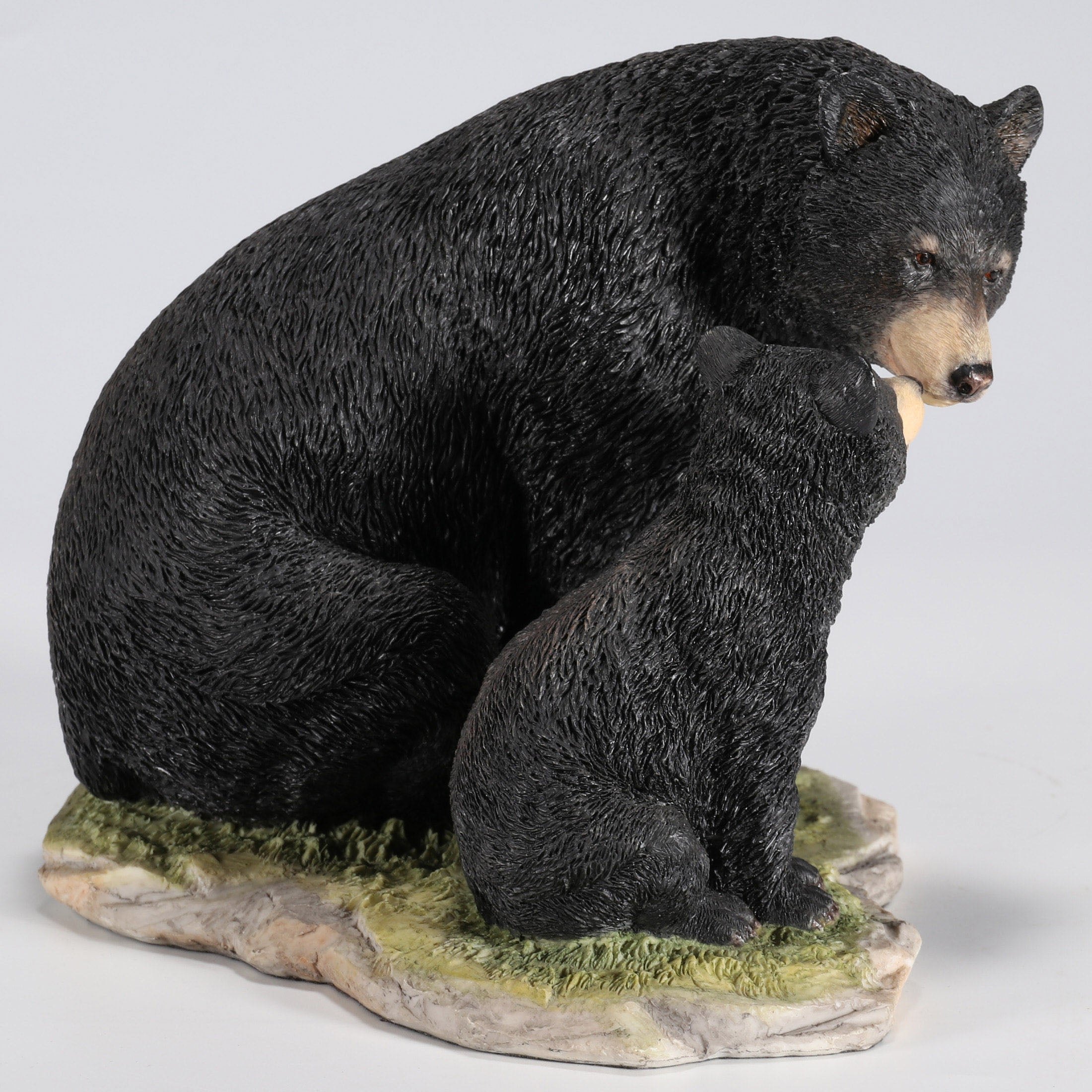 Black Bear Sitting With Her Cub