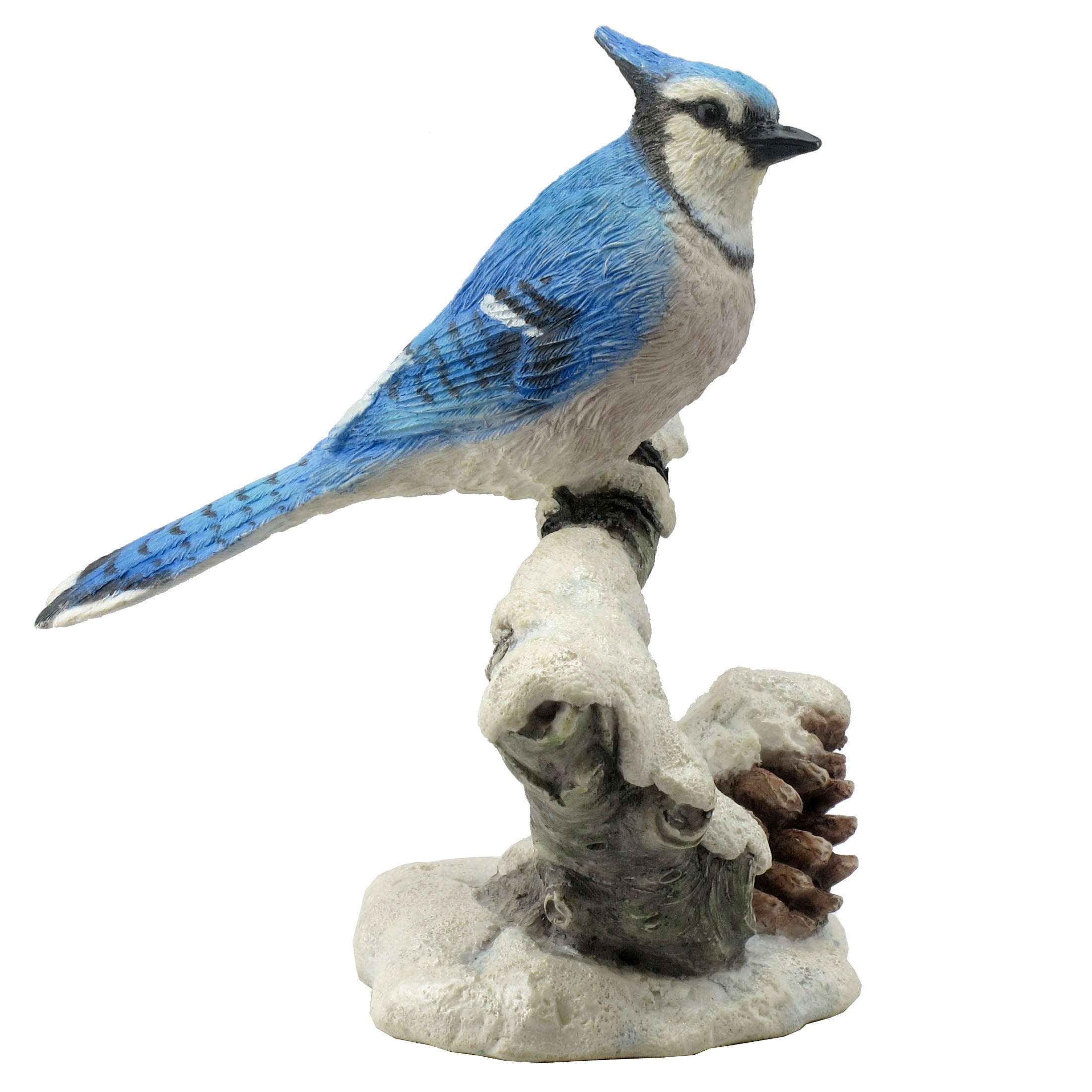 Blue Jay