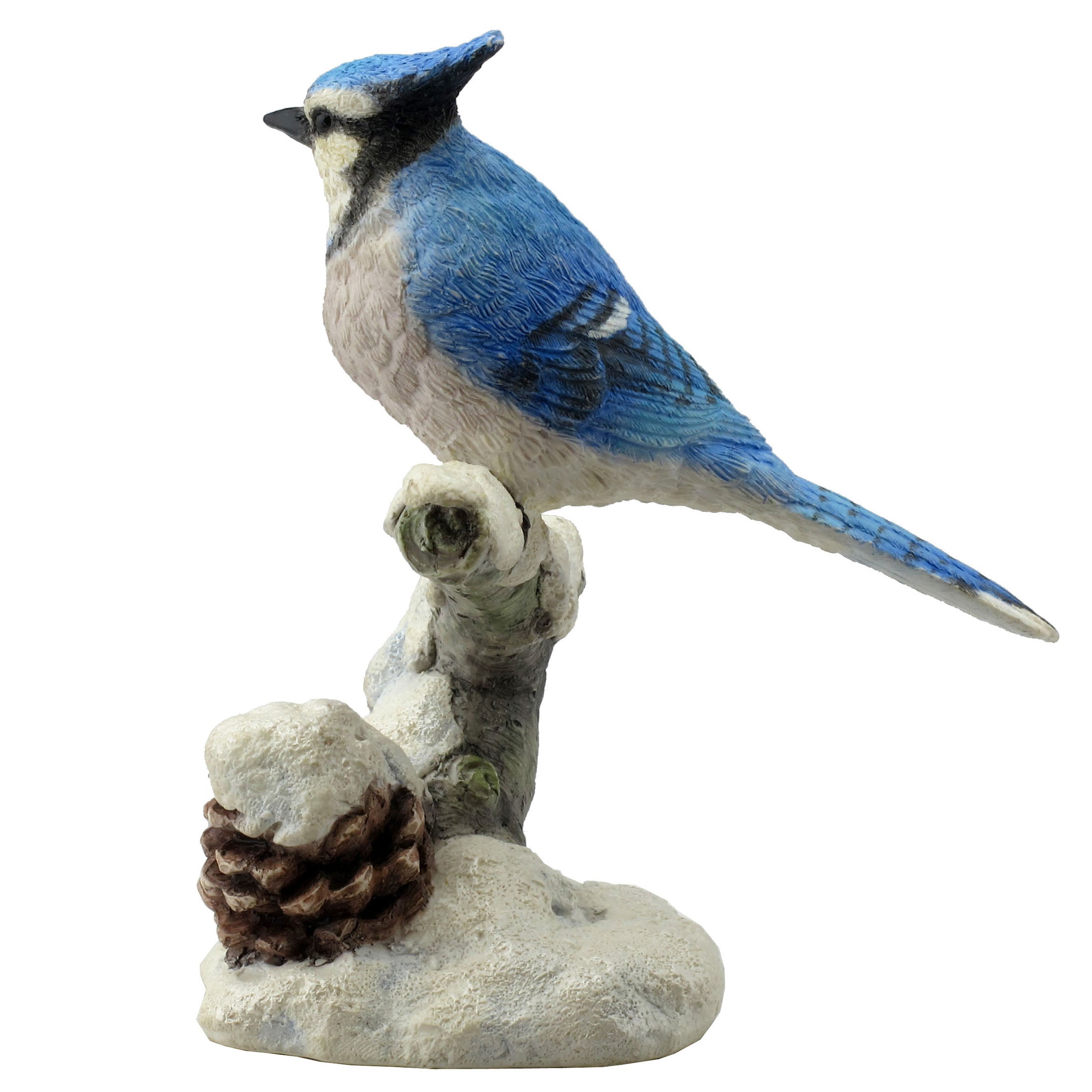 Blue Jay