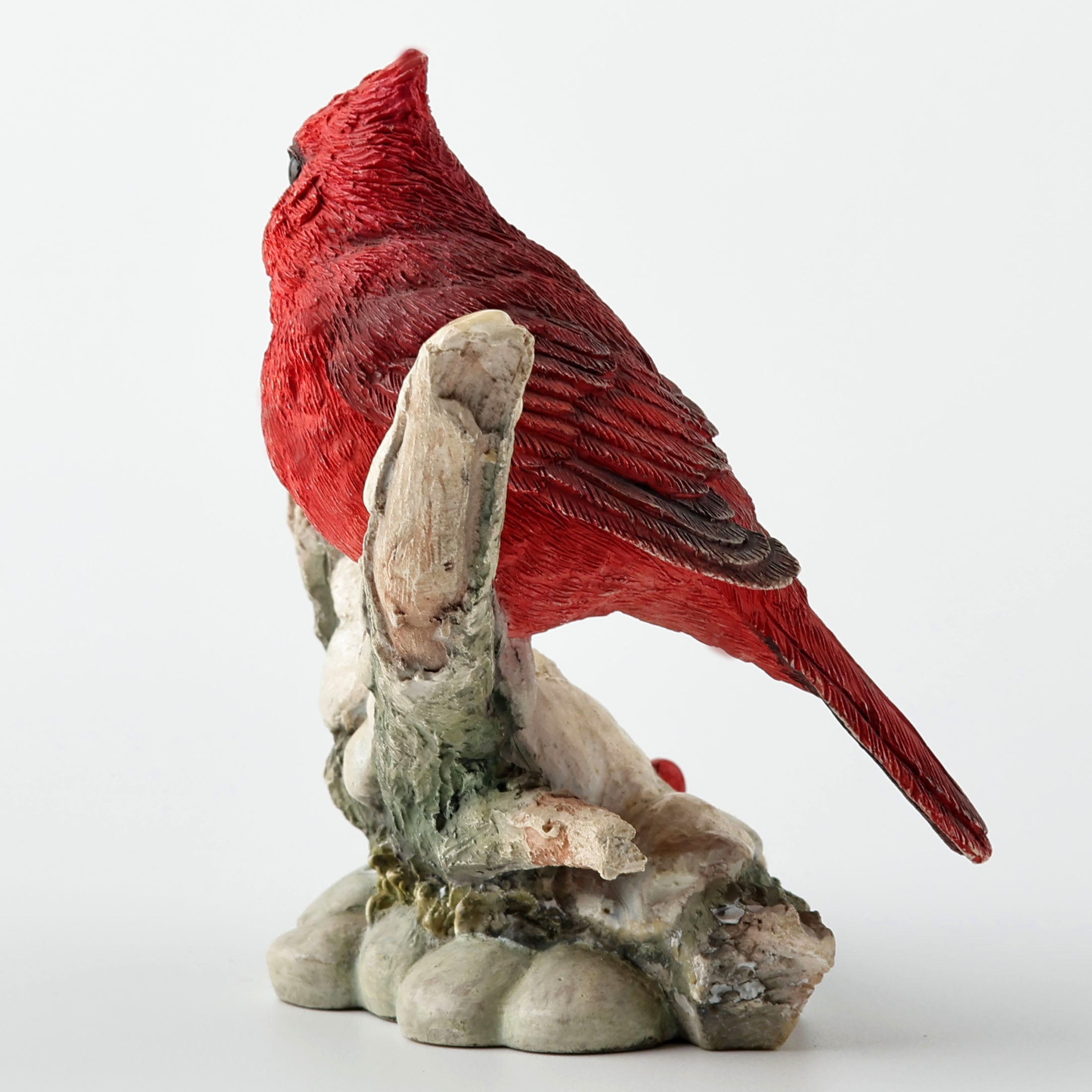 Cardinal