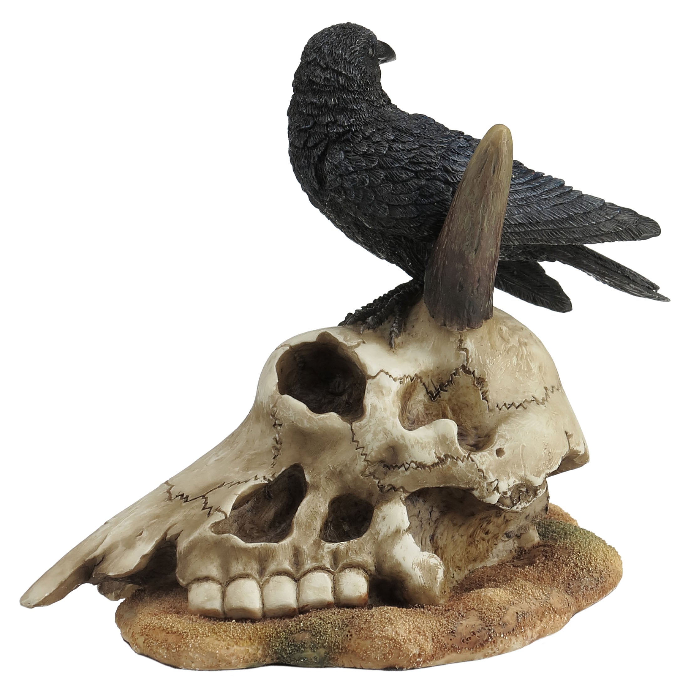Crow On Bighorn Skull