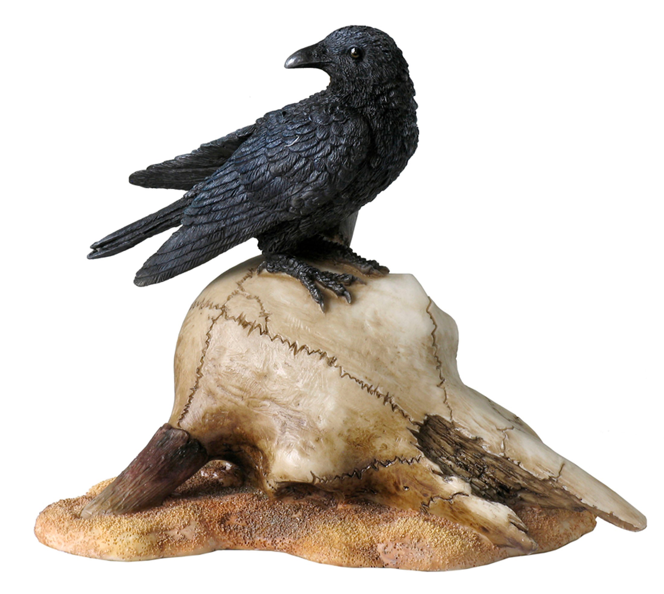 Crow On Bighorn Skull