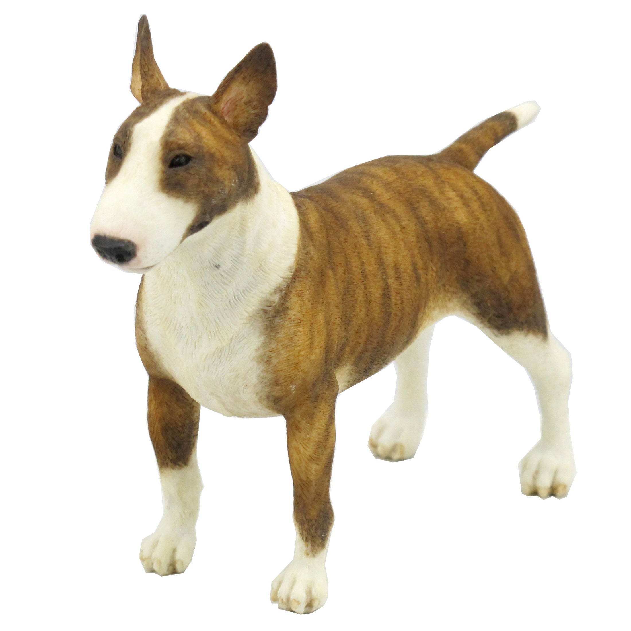 Bull Terrier