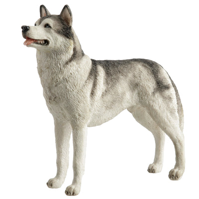 Siberian Husky