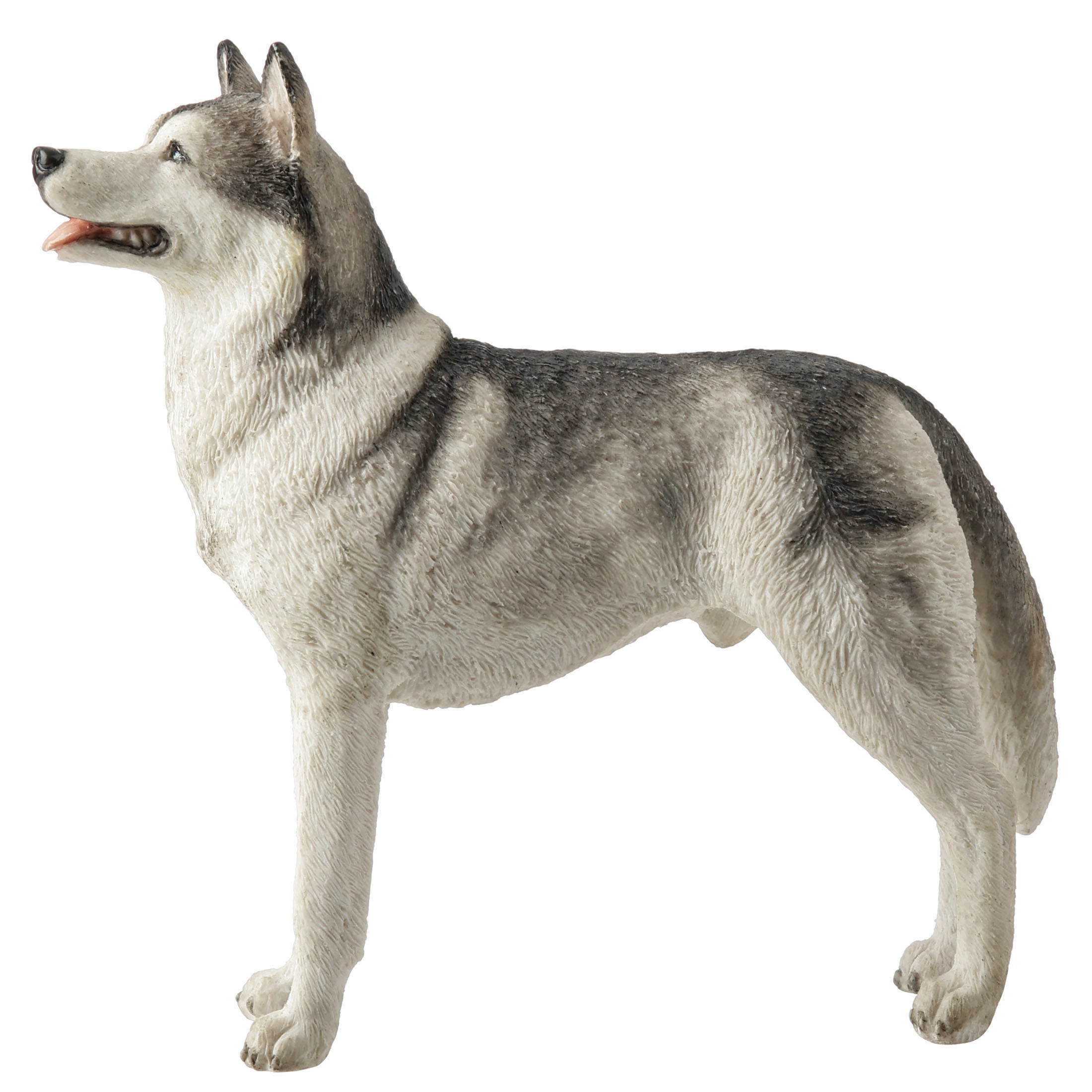 Siberian Husky
