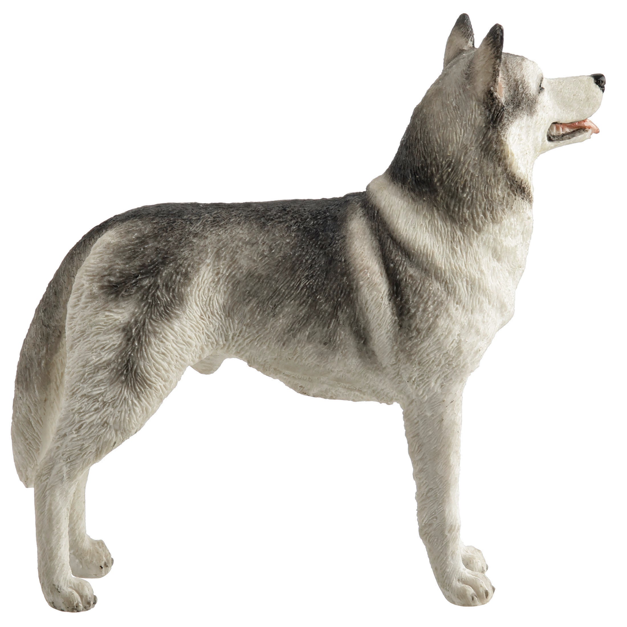 Siberian Husky