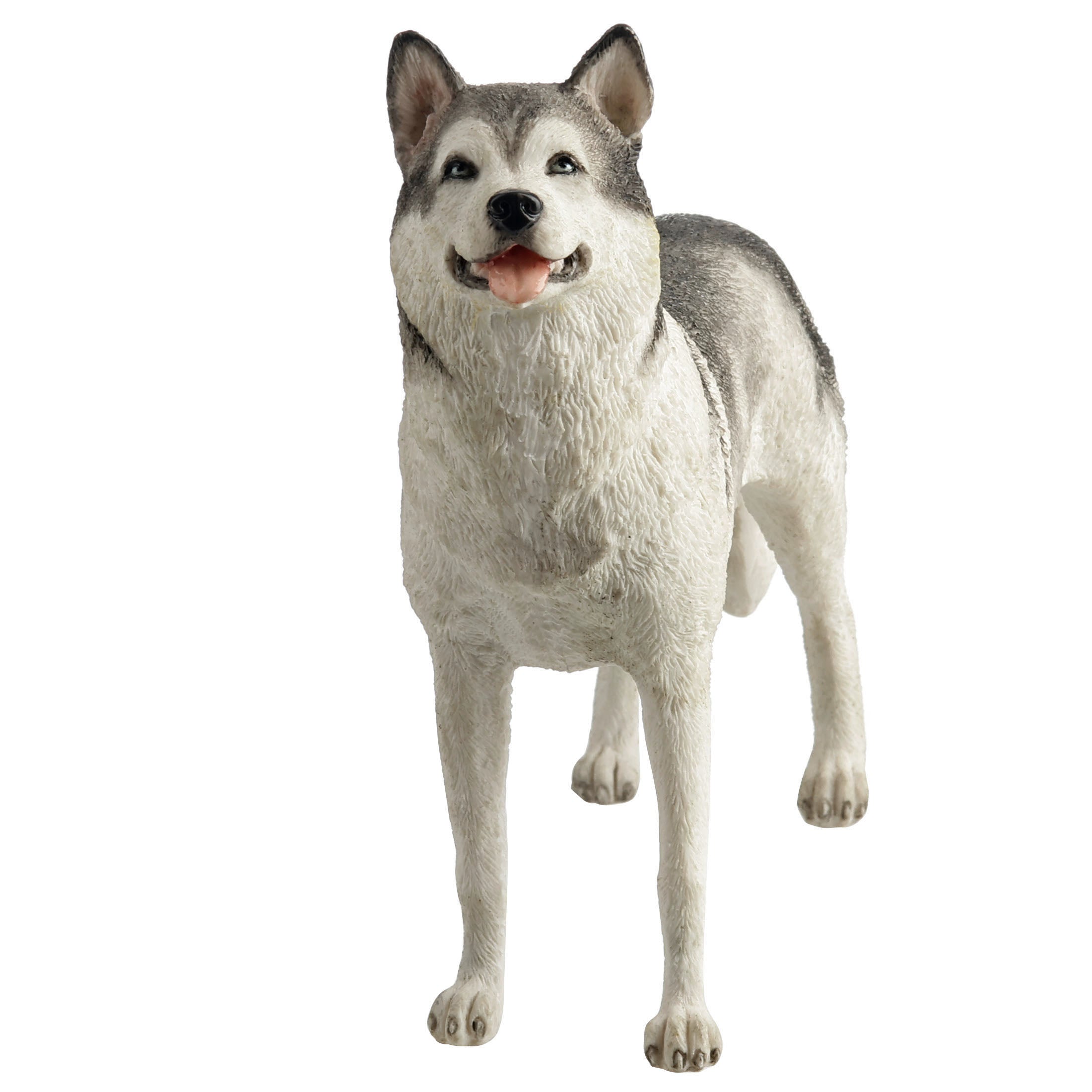 Siberian Husky