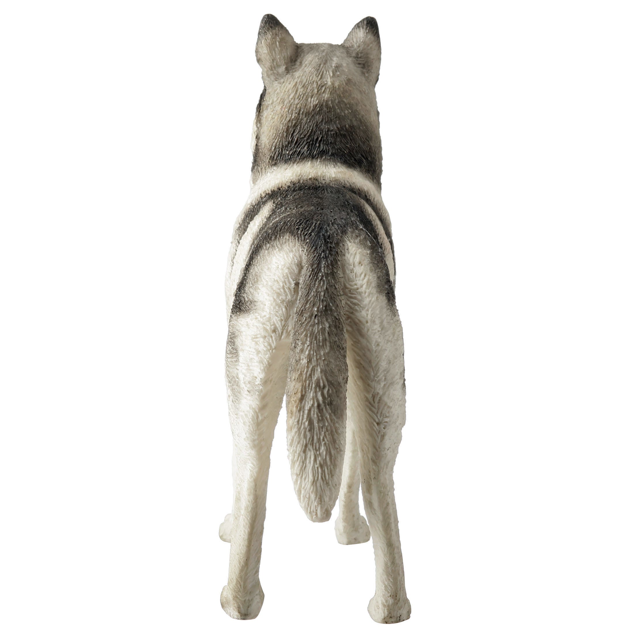 Siberian Husky