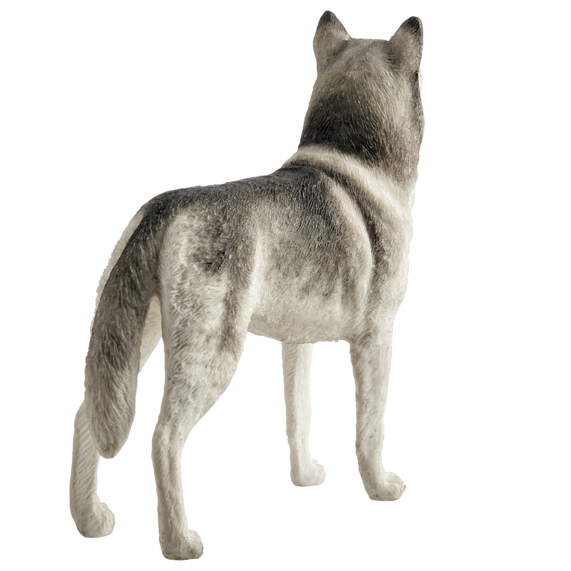 Siberian Husky