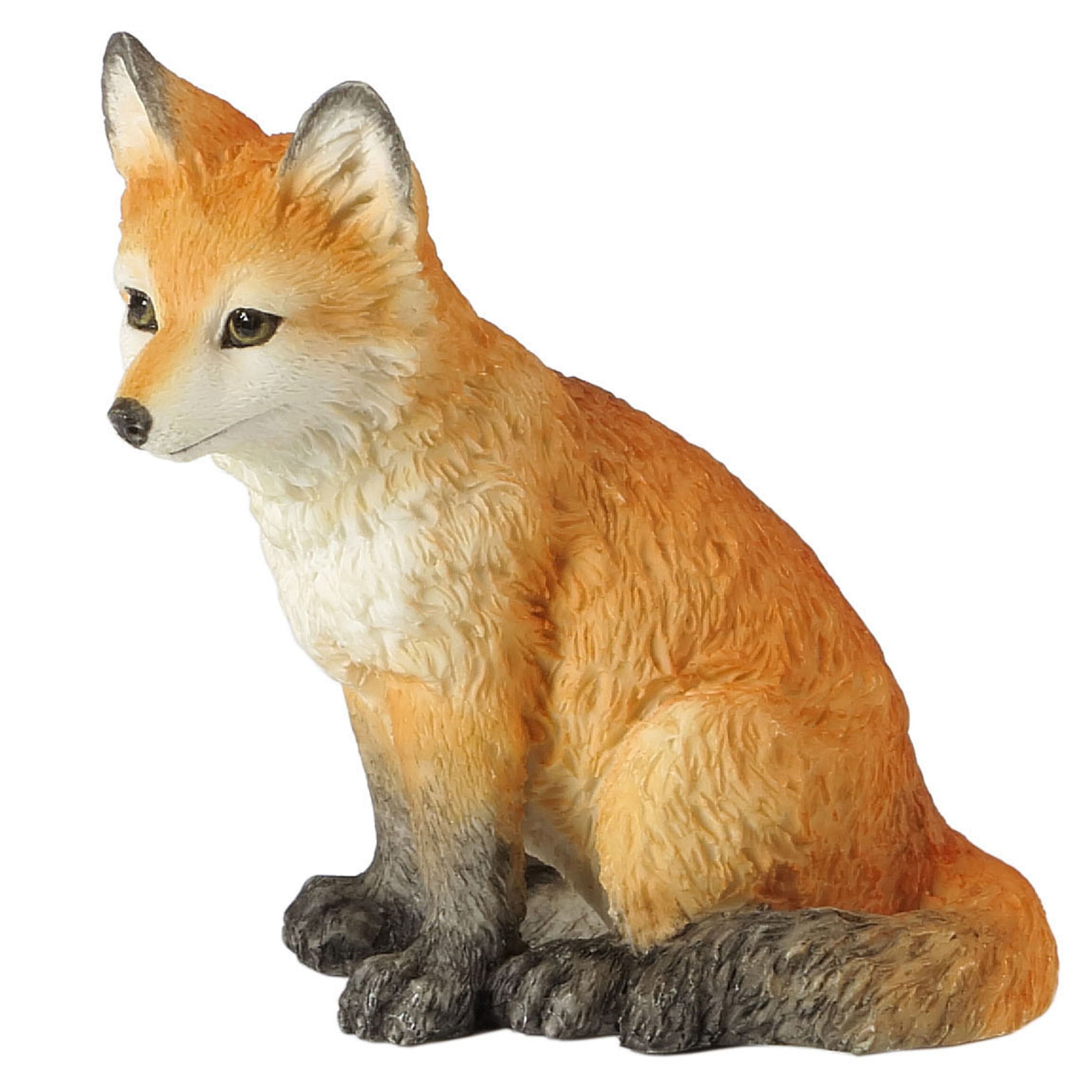 Fox Cub Sitting