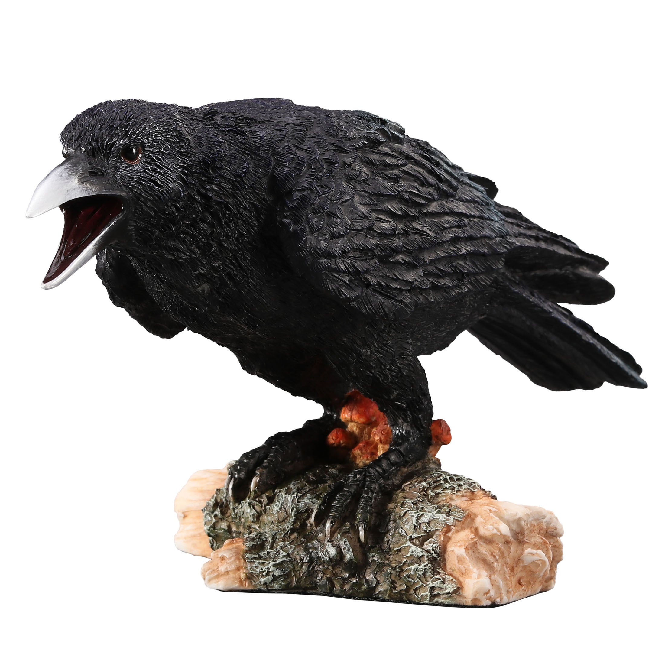 Crow Standing On Small Log