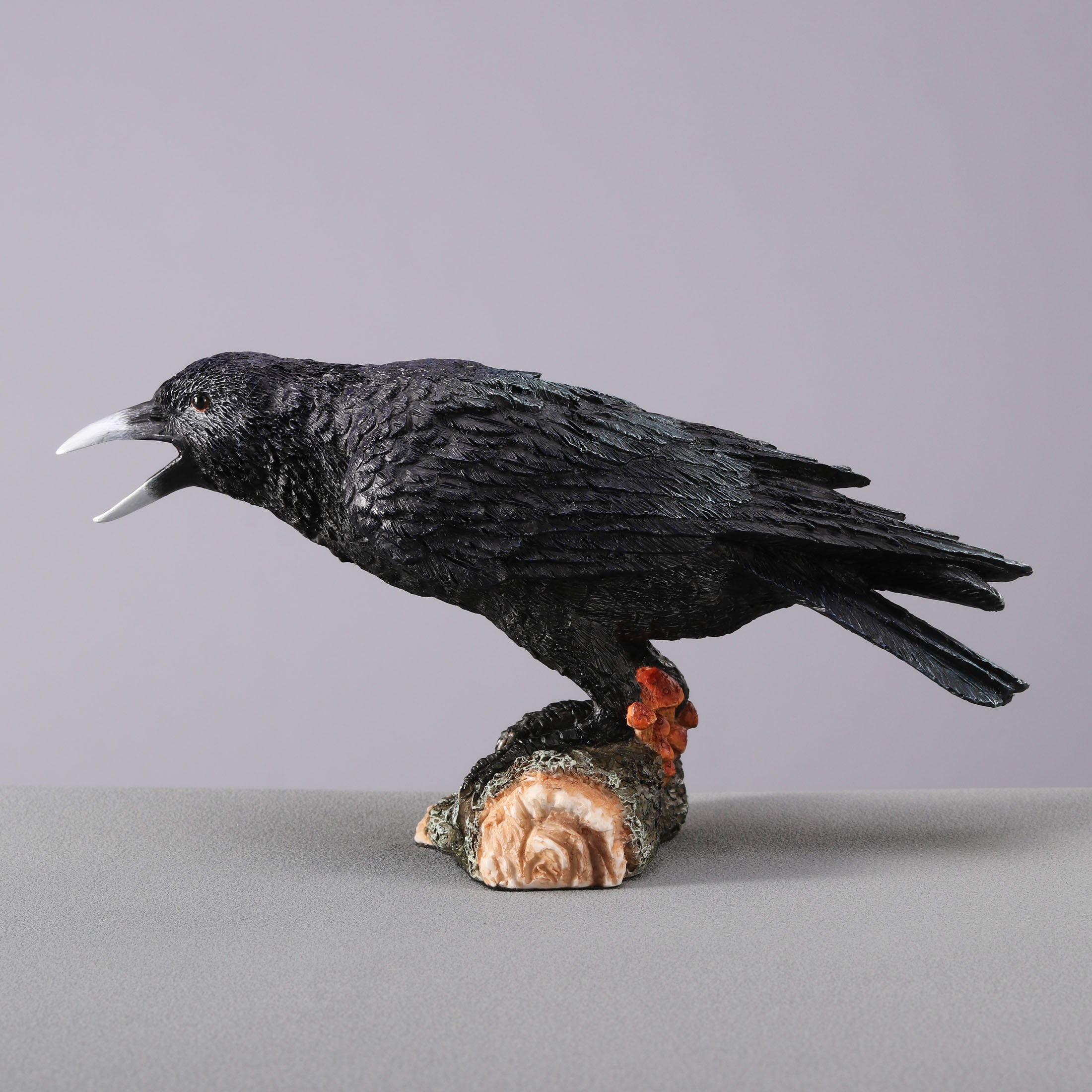 Crow Standing On Small Log