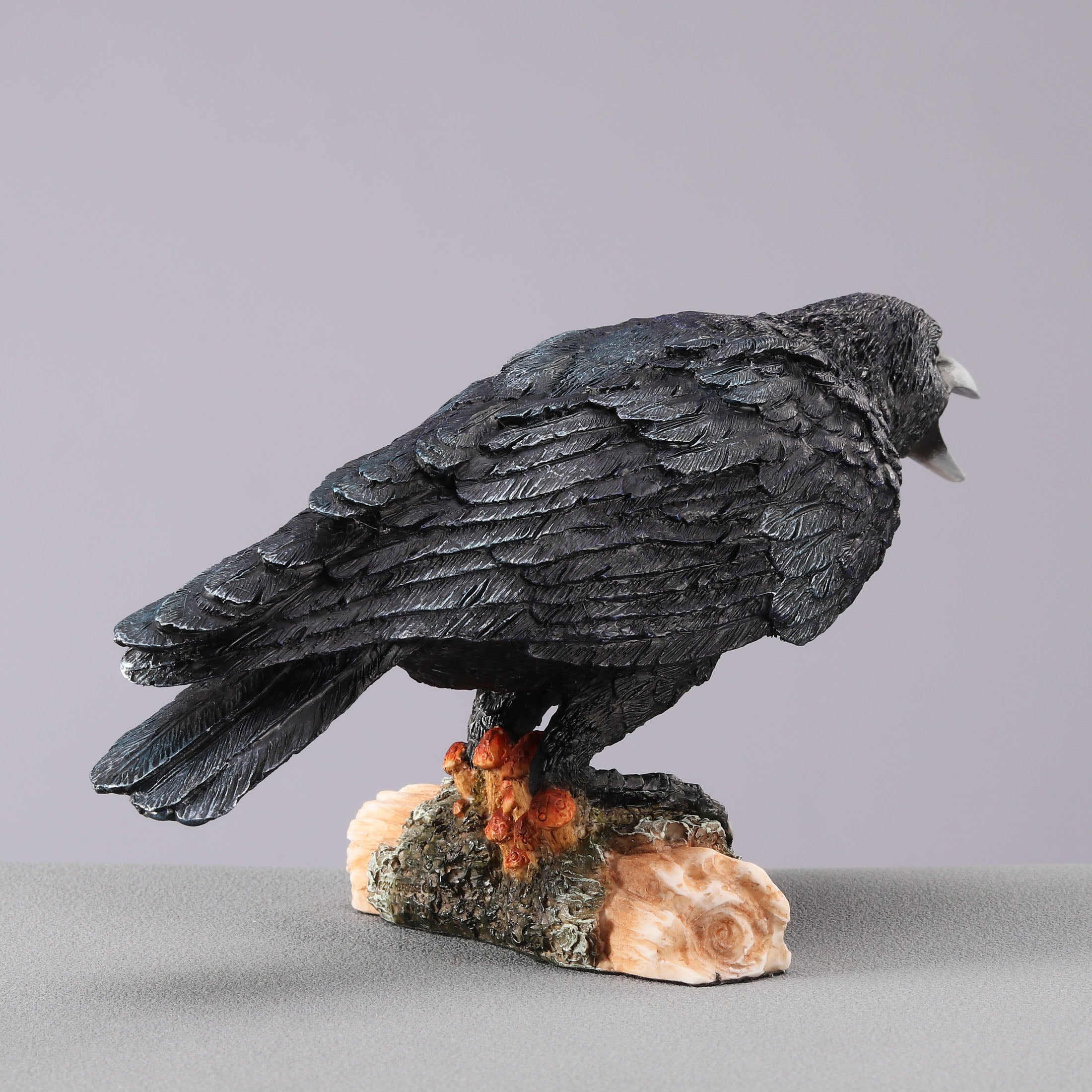 Crow Standing On Small Log