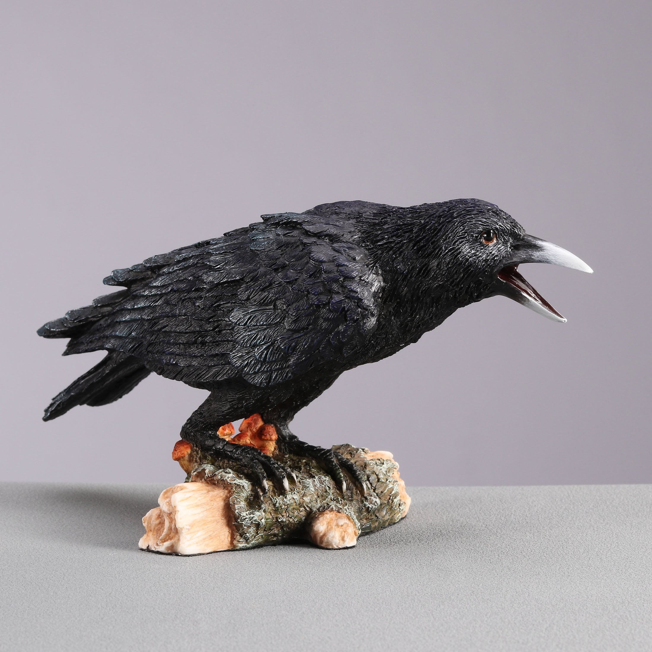 Crow Standing On Small Log