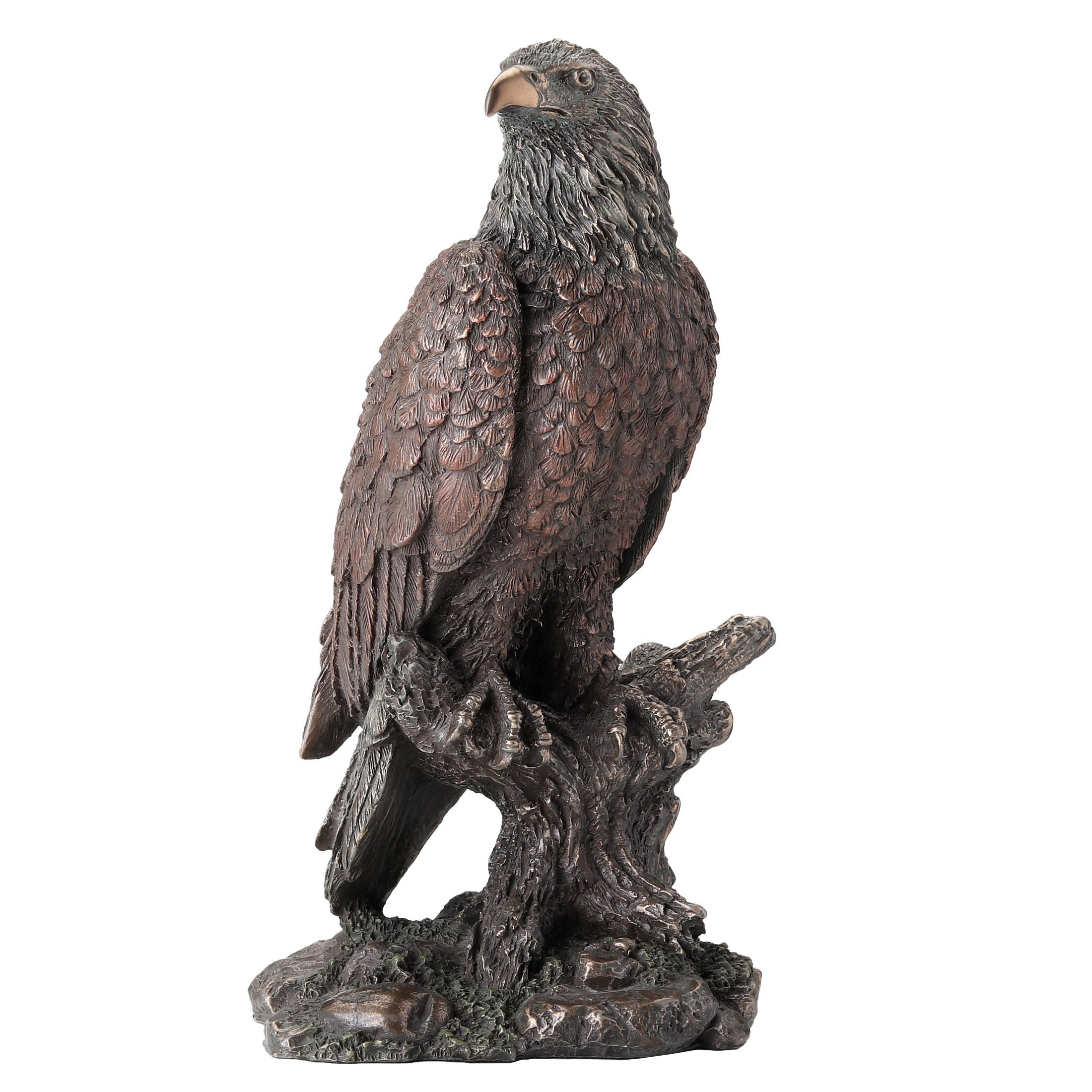 Bald Eagle Perching On Tree Branch