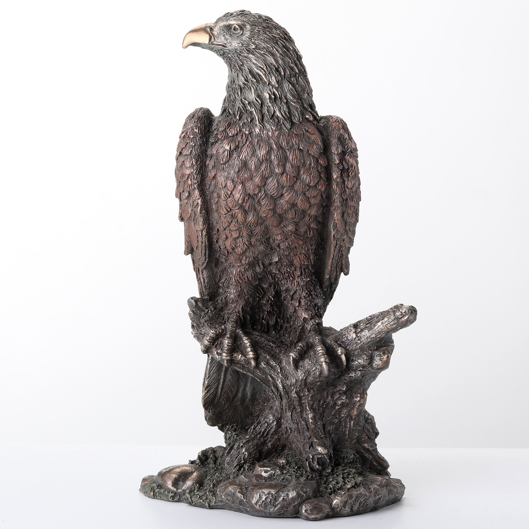 Bald Eagle Perching On Tree Branch