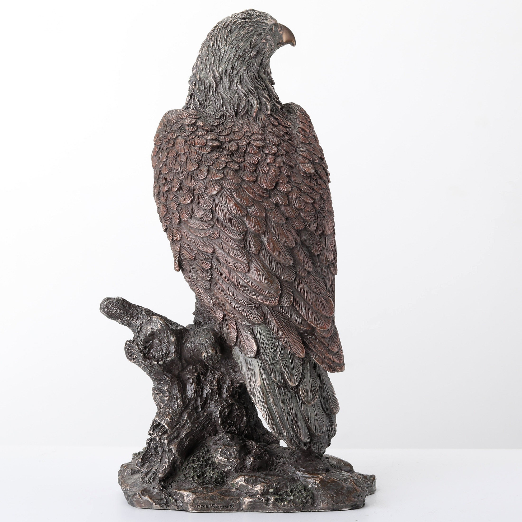 Bald Eagle Perching On Tree Branch