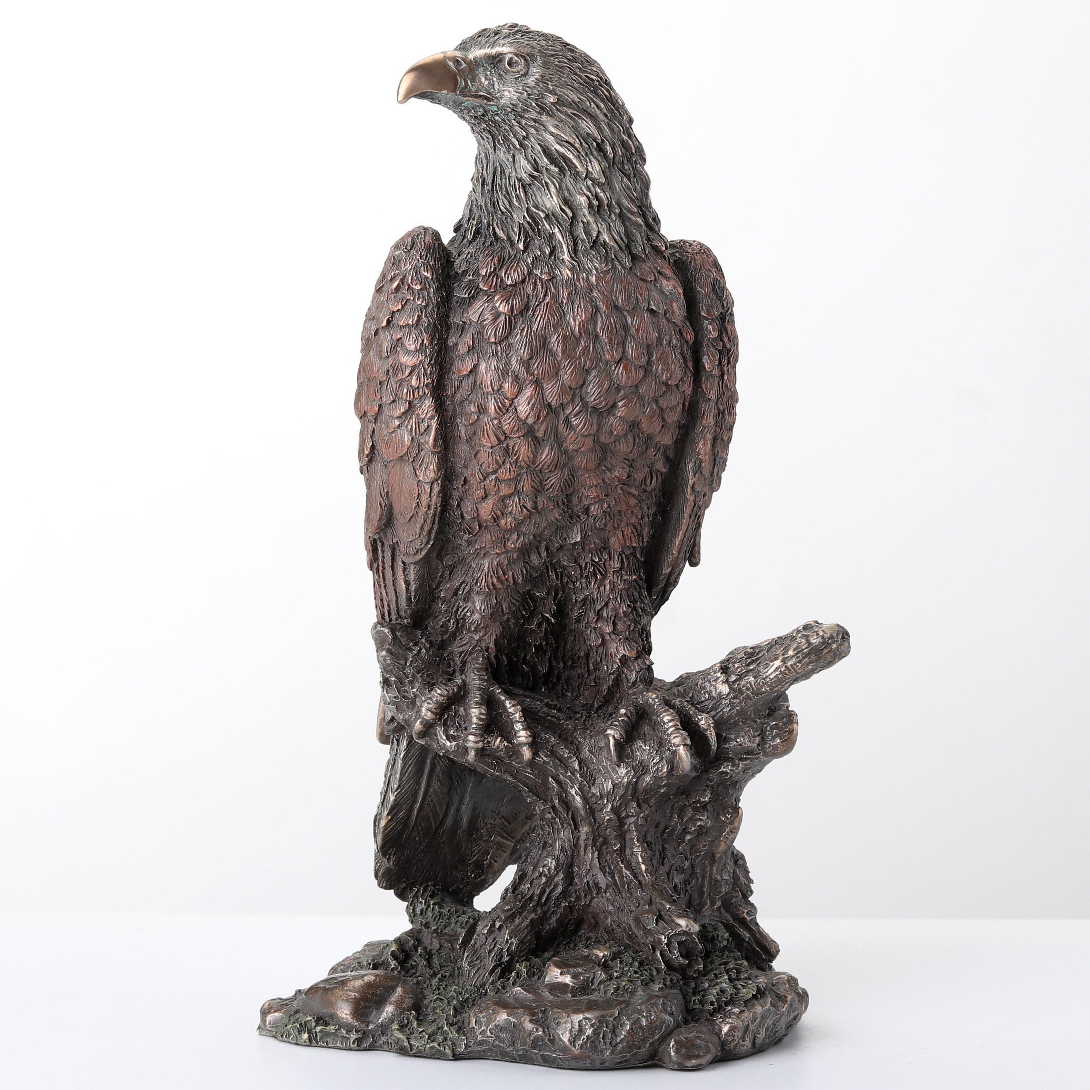 Bald Eagle Perching On Tree Branch