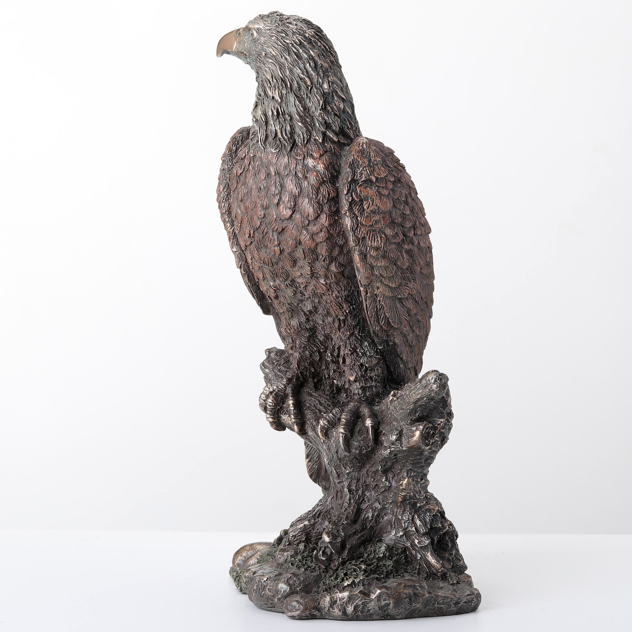 Bald Eagle Perching On Tree Branch