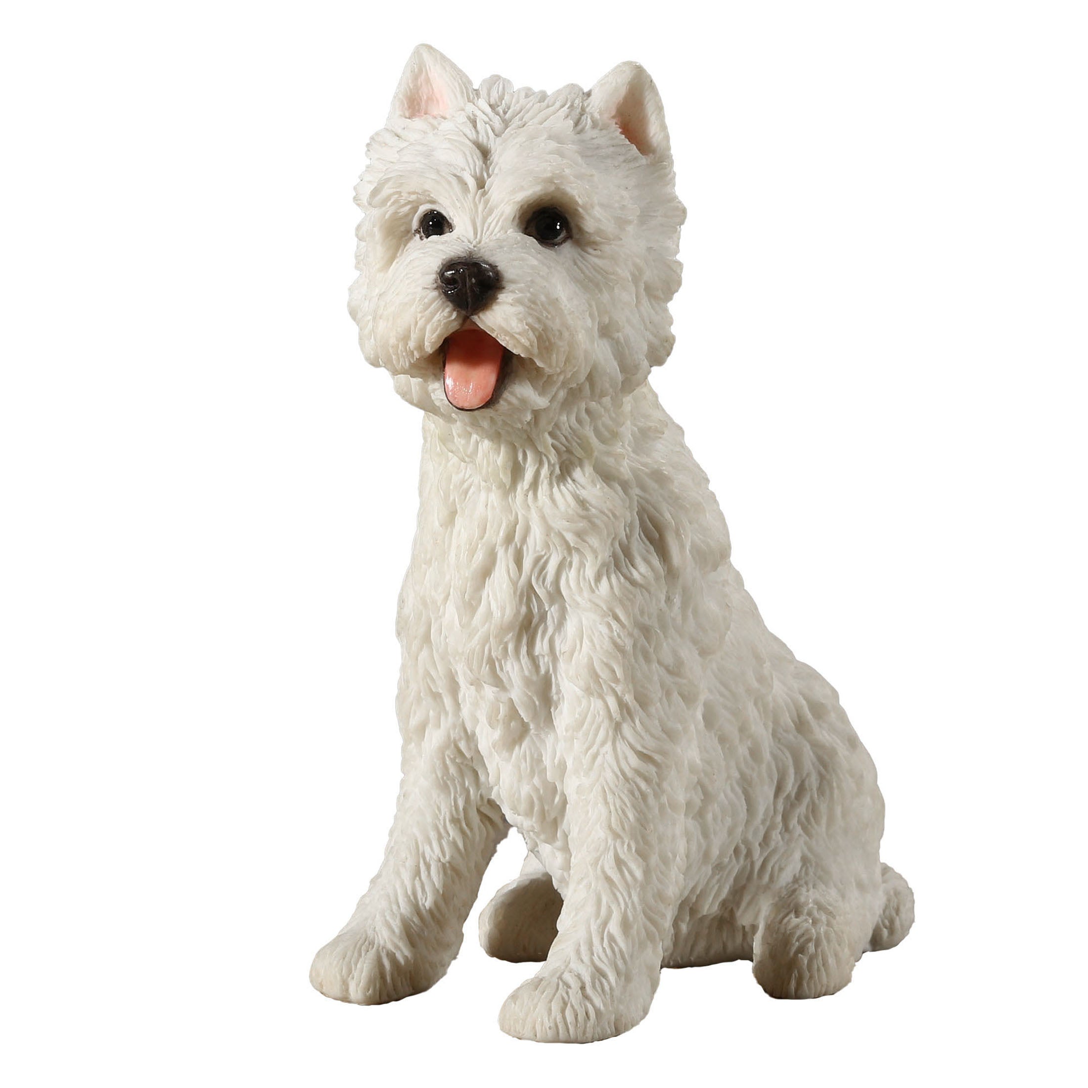 West Highland White Terrier Sitting