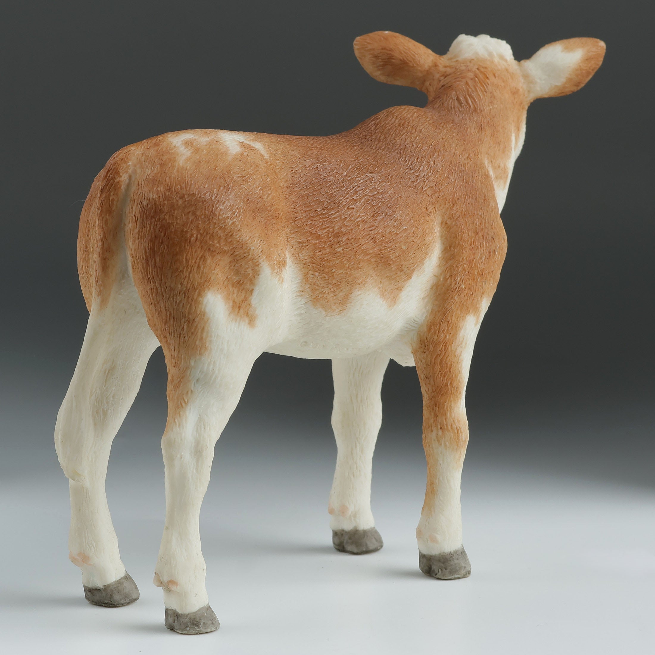Ayrshire Calf