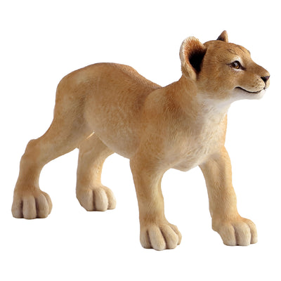 Lion Cub