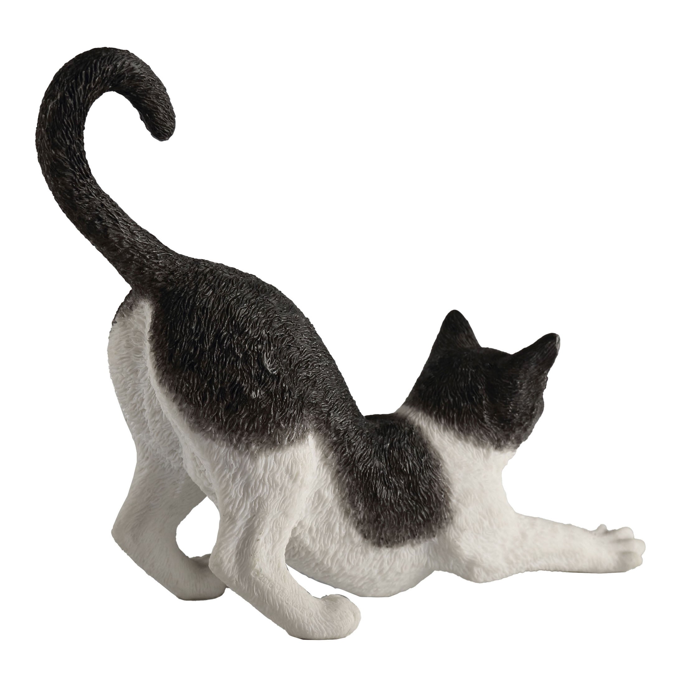 Black And White Cat Stretching