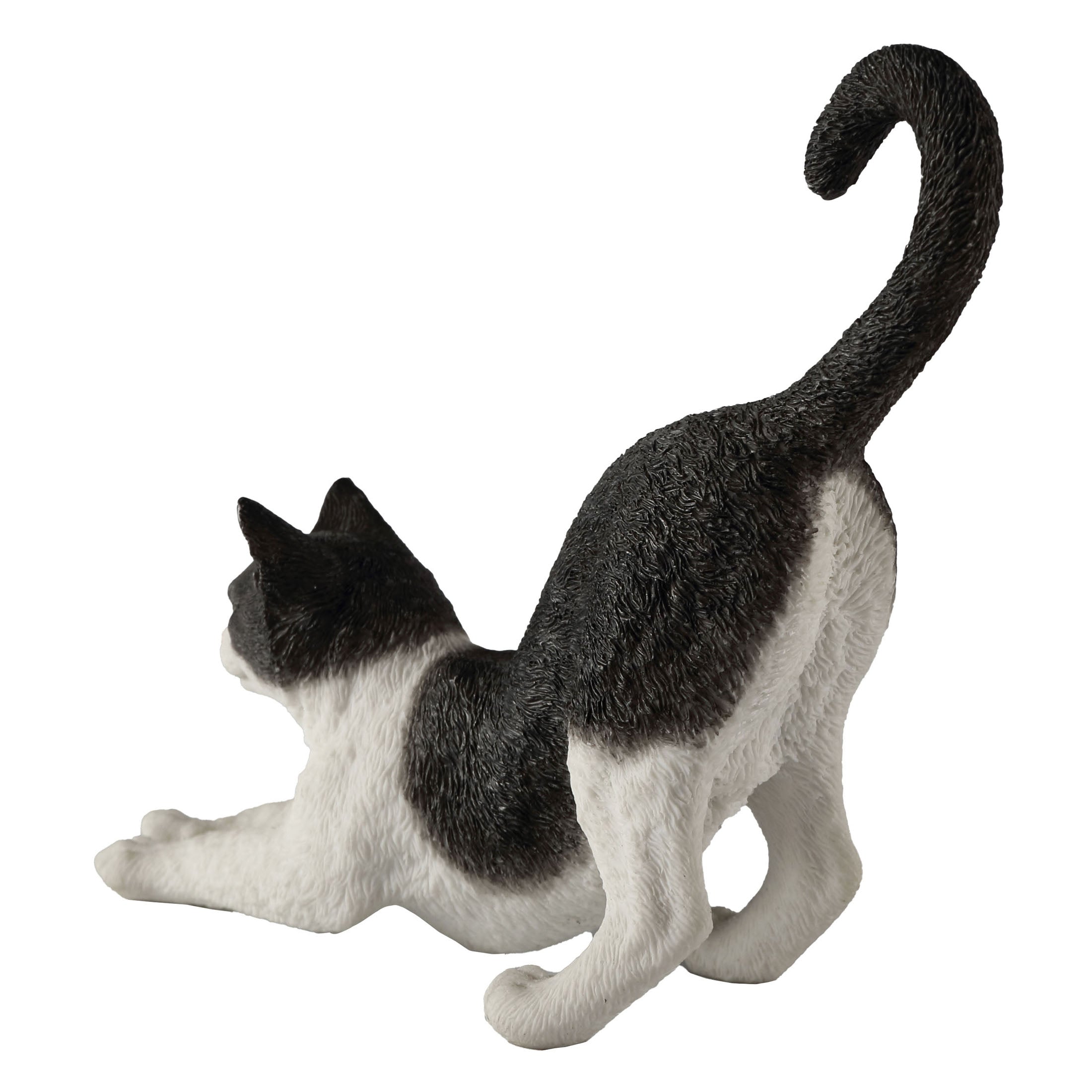 Black And White Cat Stretching