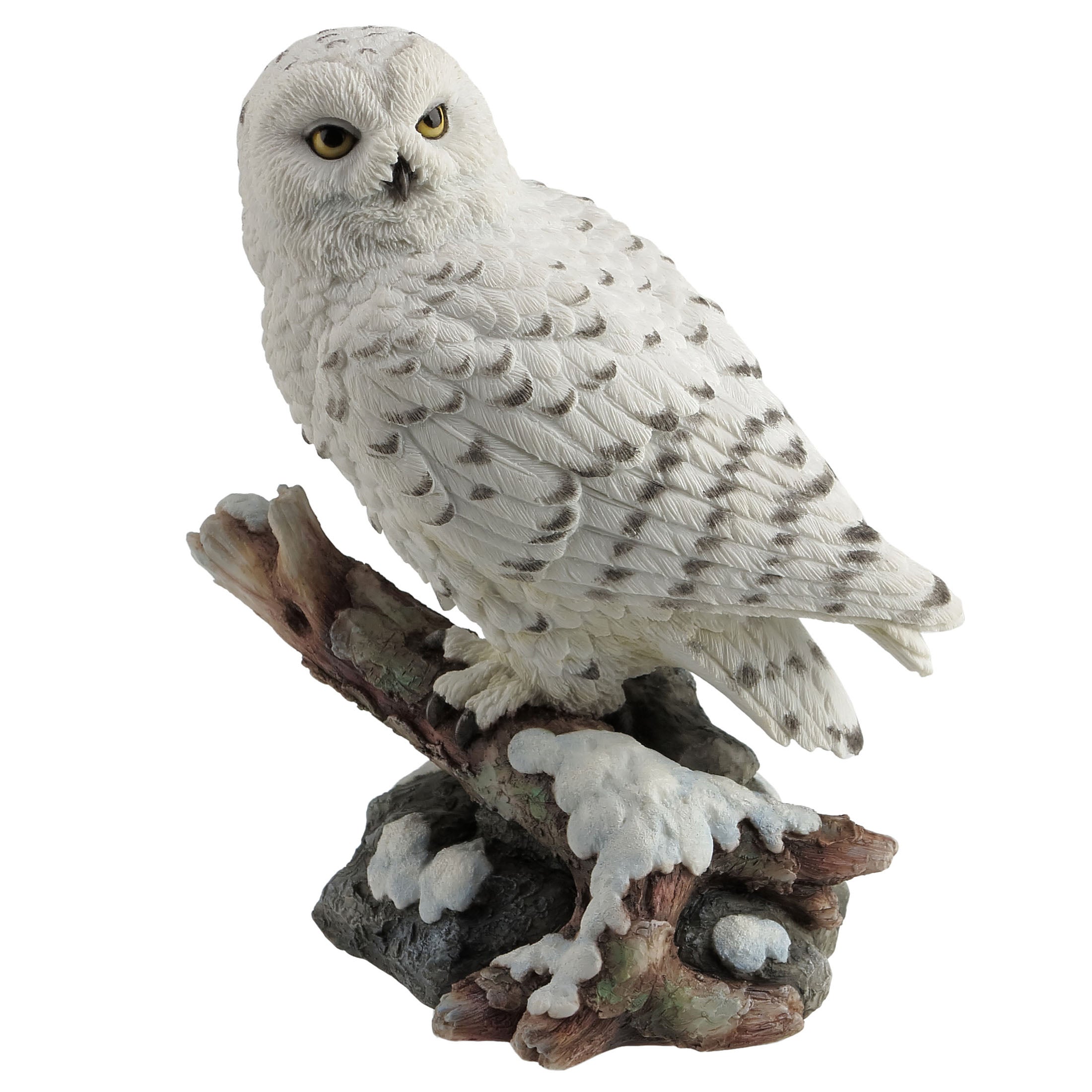 Snow Owl Perching On Branch