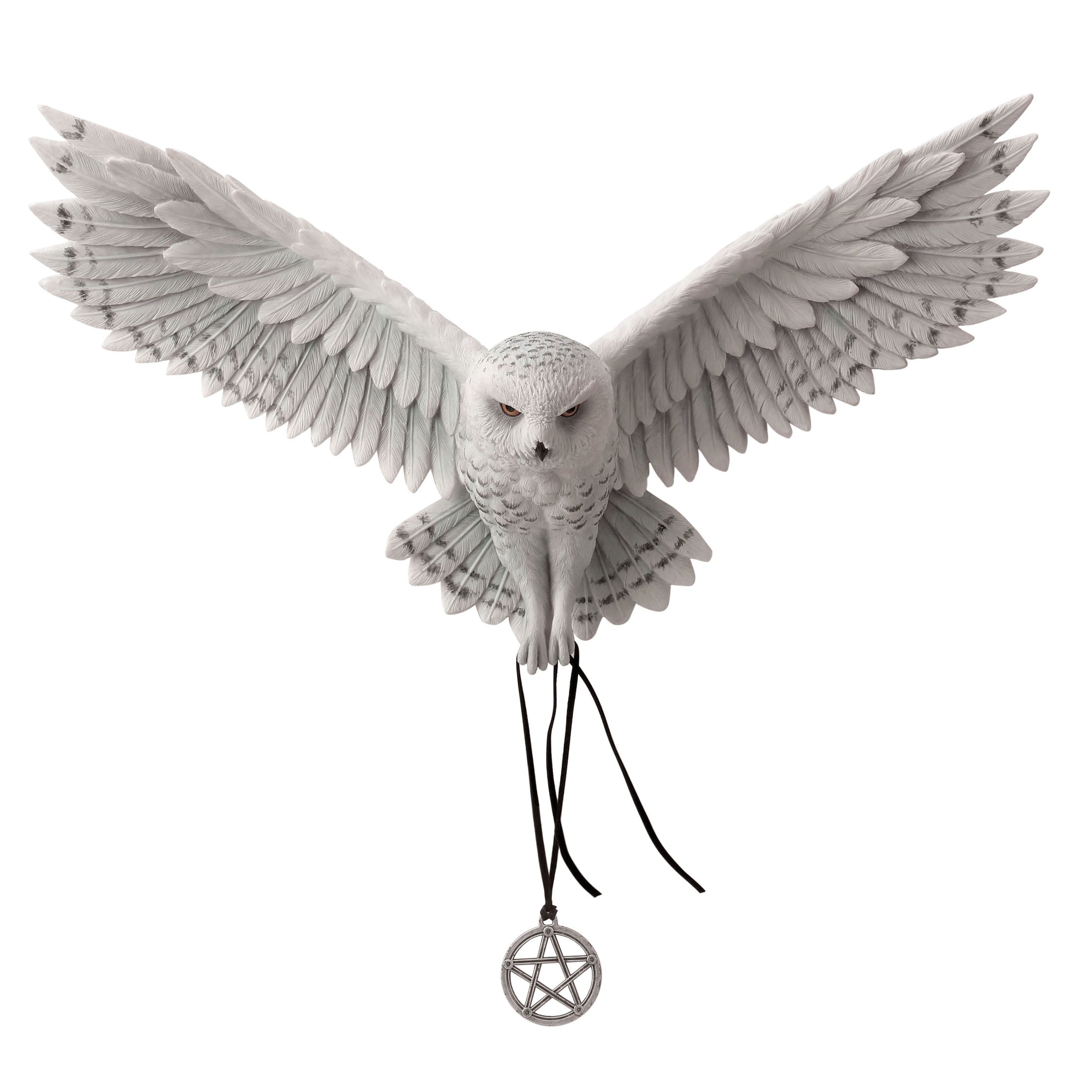 Awaken Your Magic By Anne Stokes