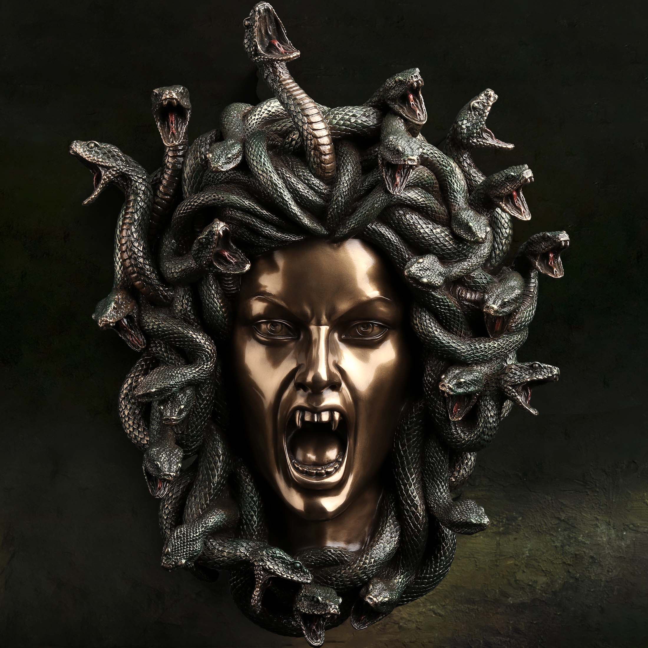 Head Of Medusa Wall Plaque