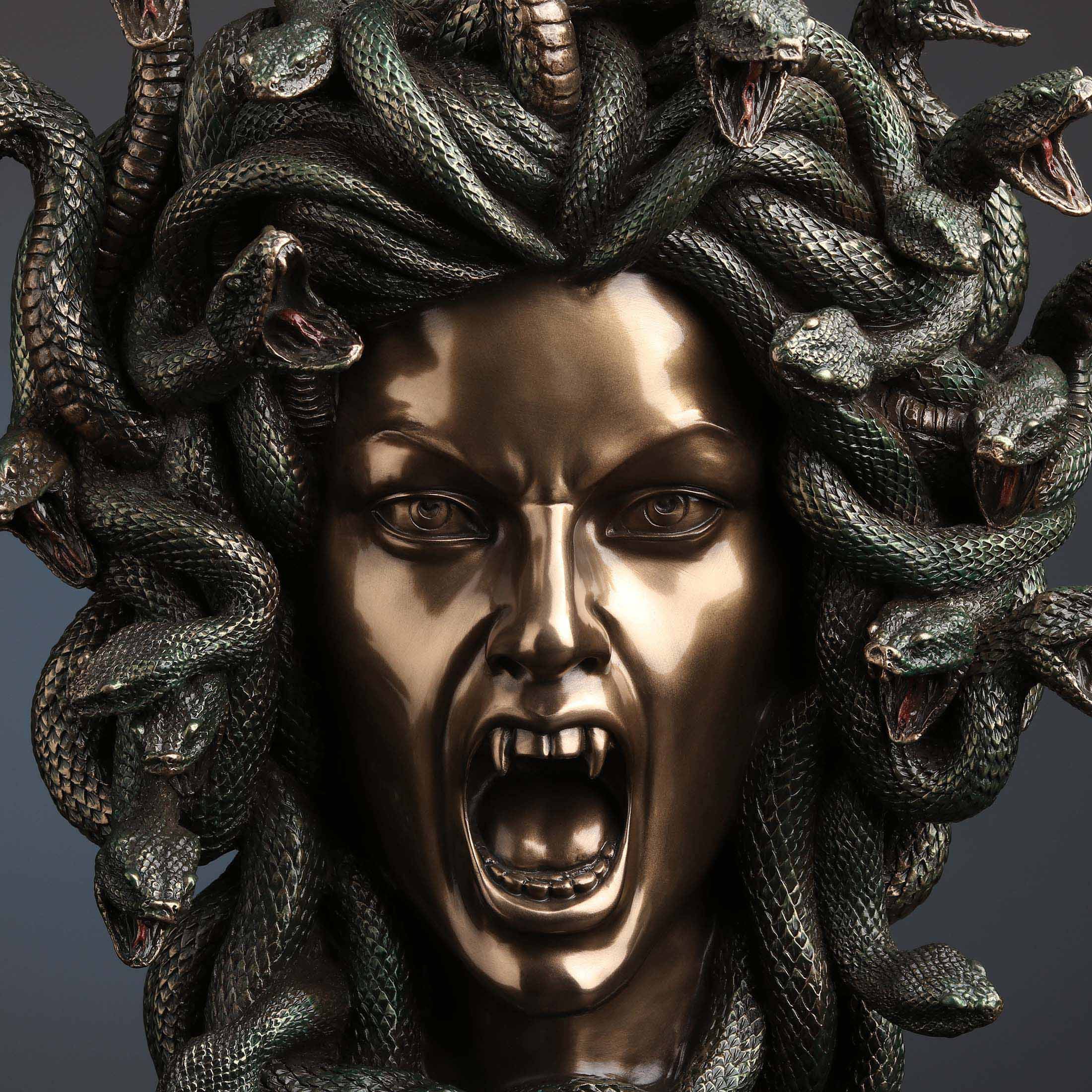 Head Of Medusa Wall Plaque
