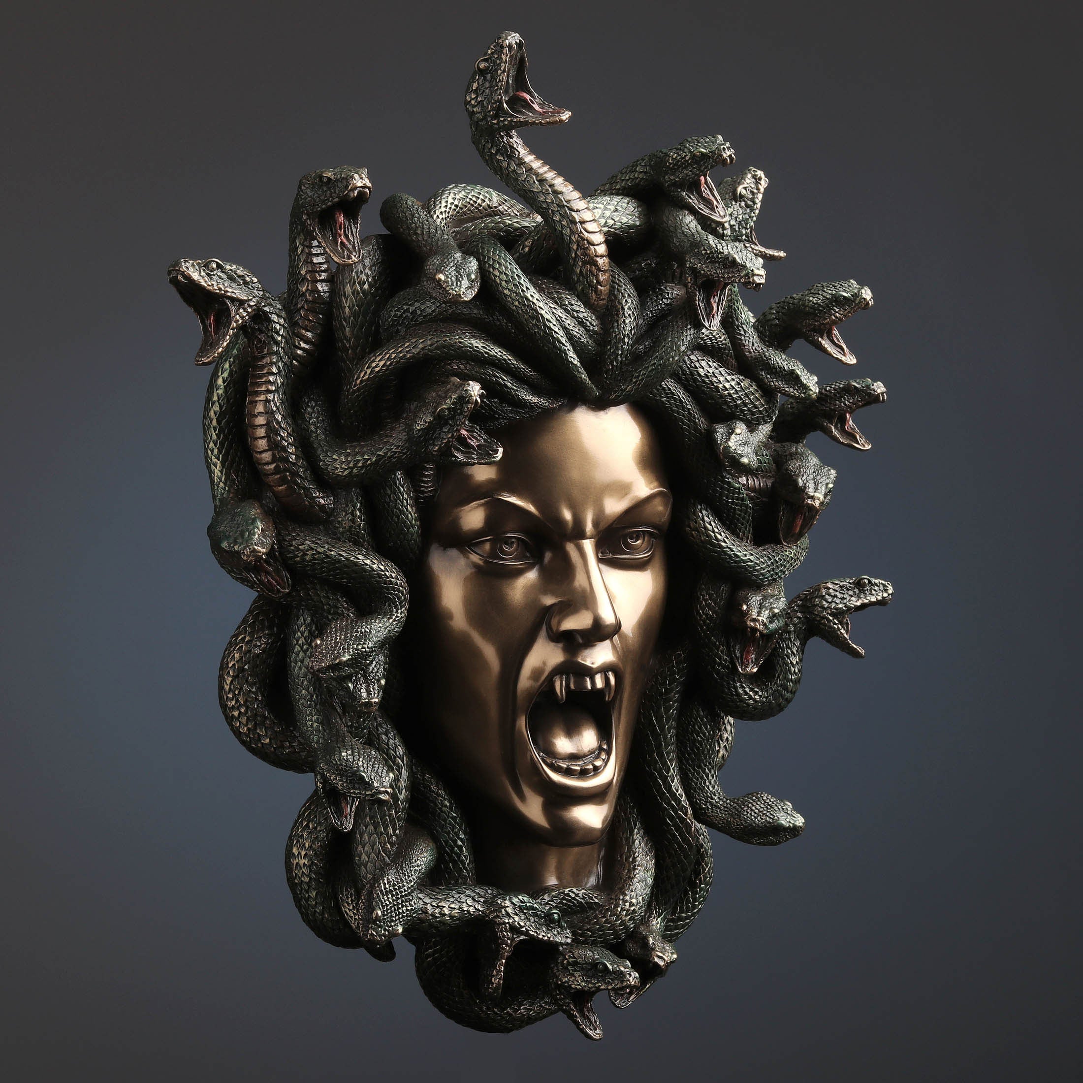 Head Of Medusa Wall Plaque