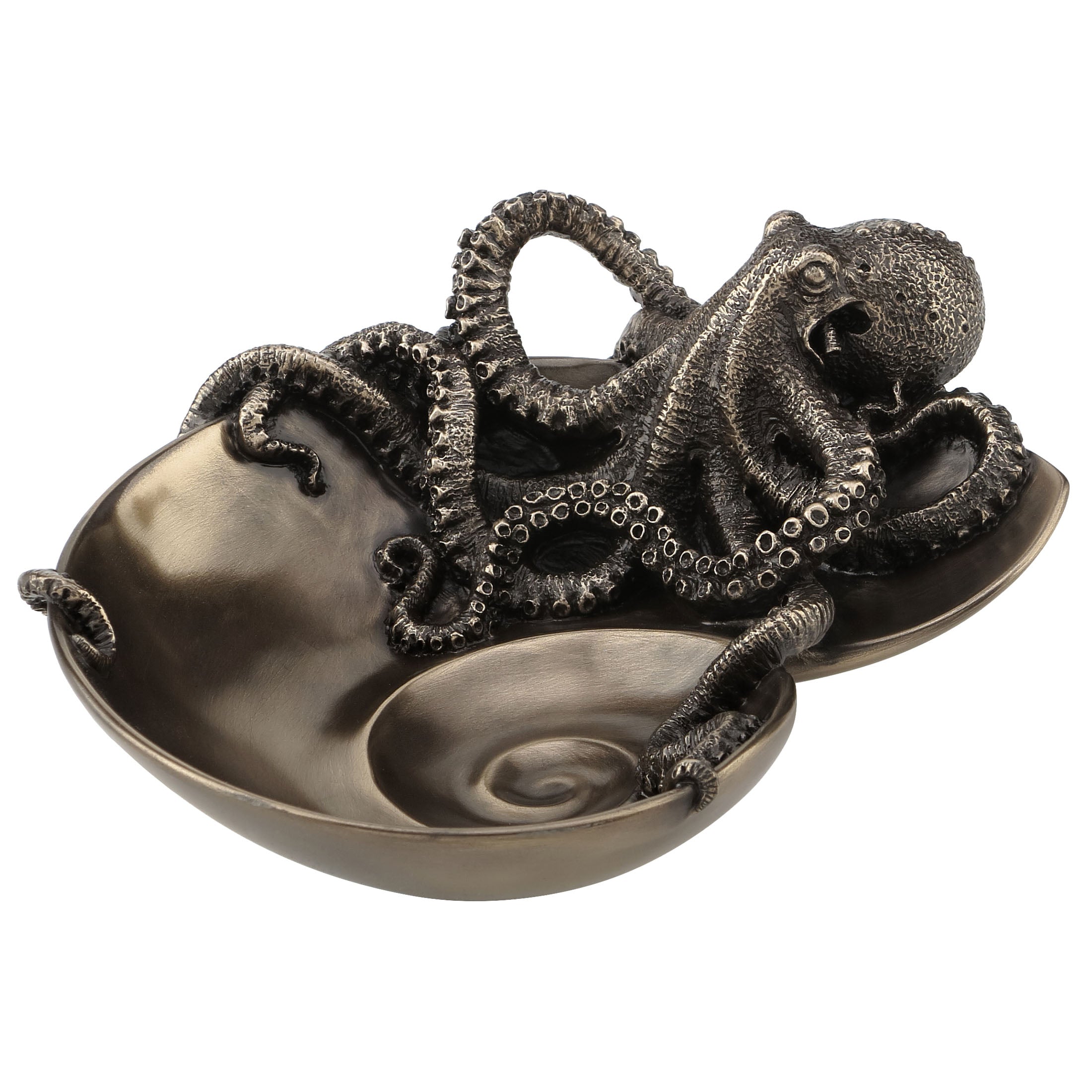 Octopus On Spiral Shaped Tray