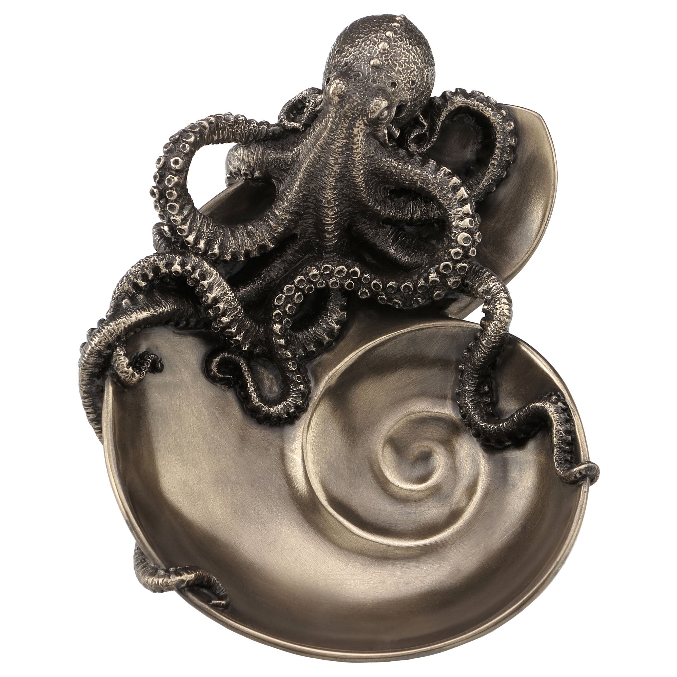 Octopus On Spiral Shaped Tray