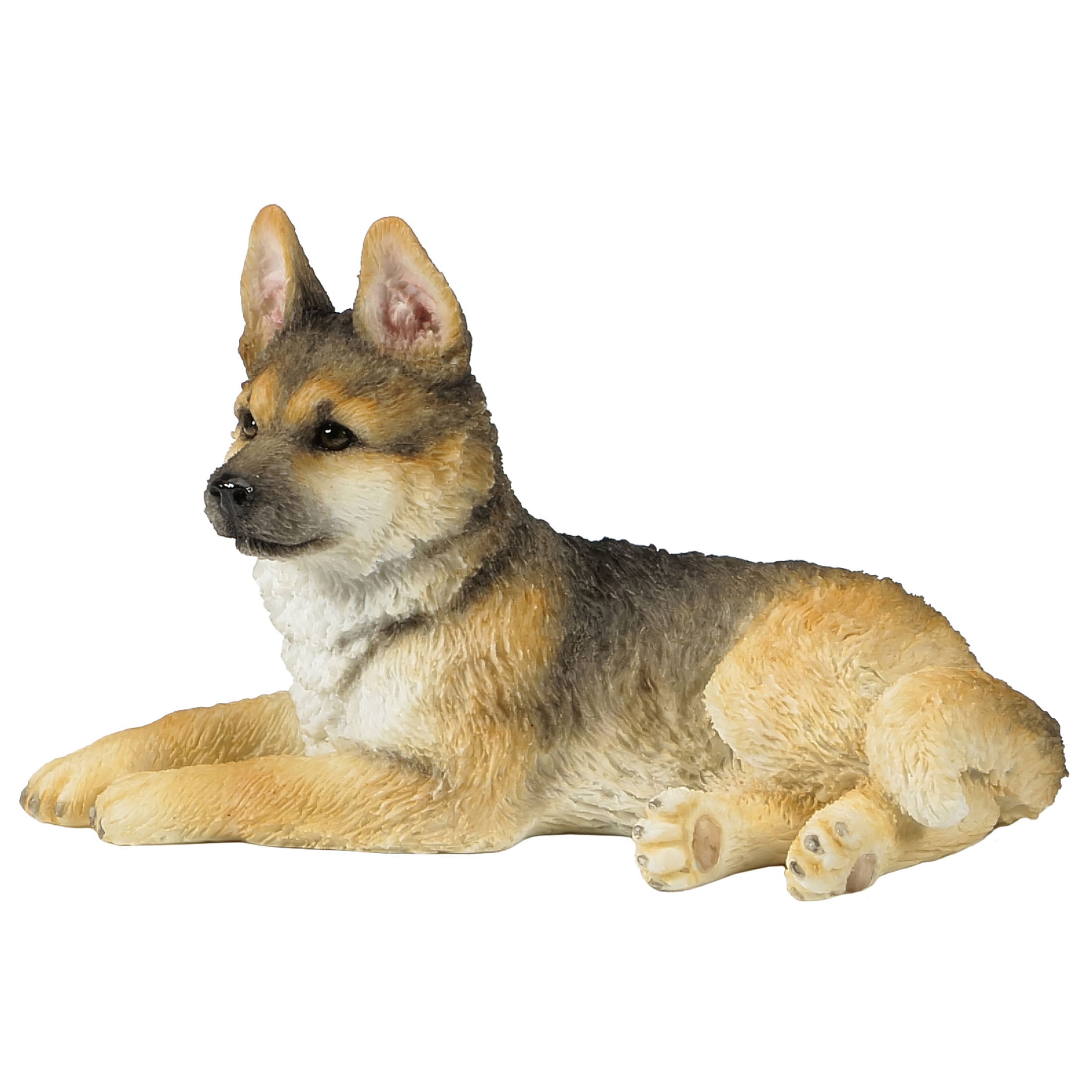 German Shepherd Puppy Sitting And Looking Towards Left