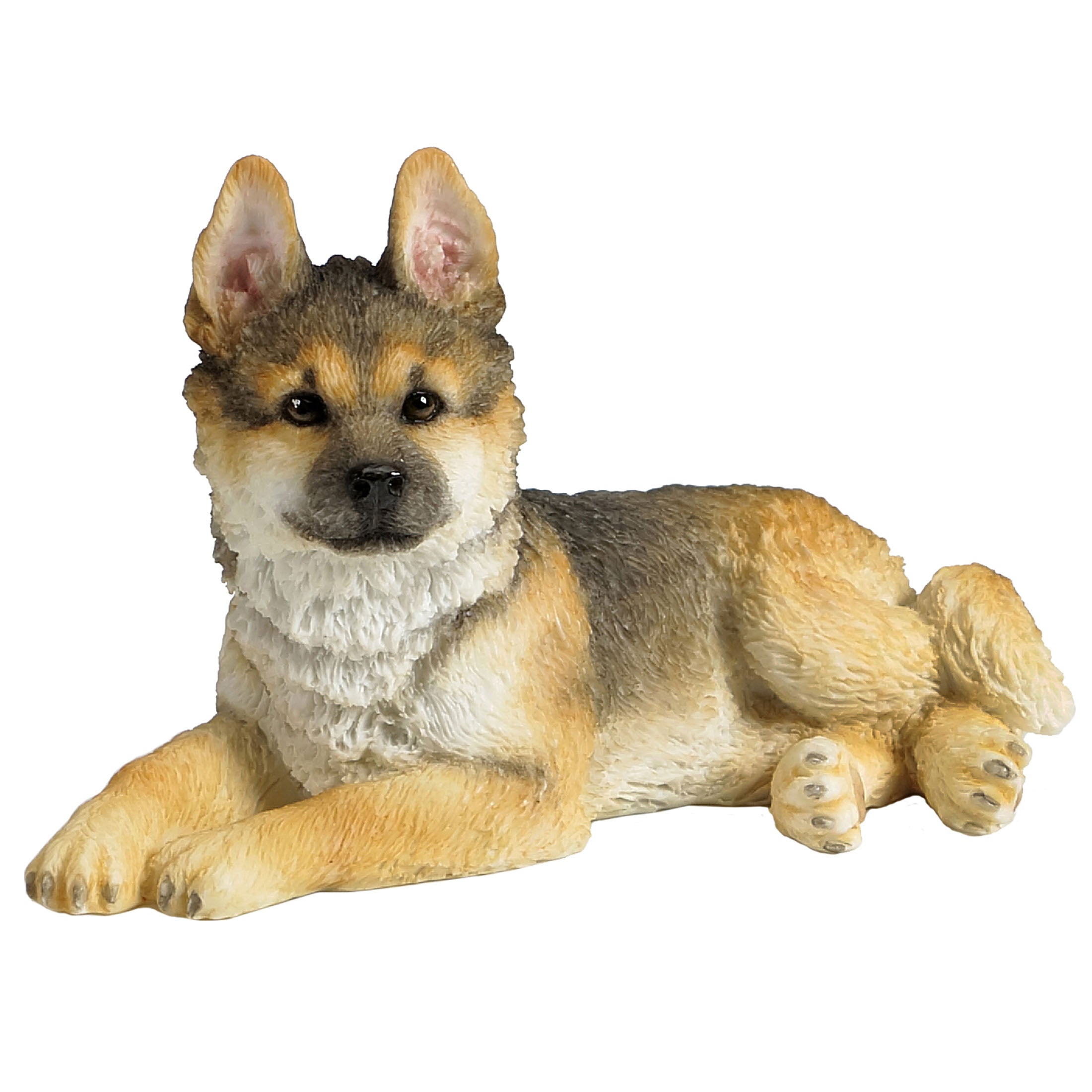 German Shepherd Puppy Sitting And Looking Towards Left