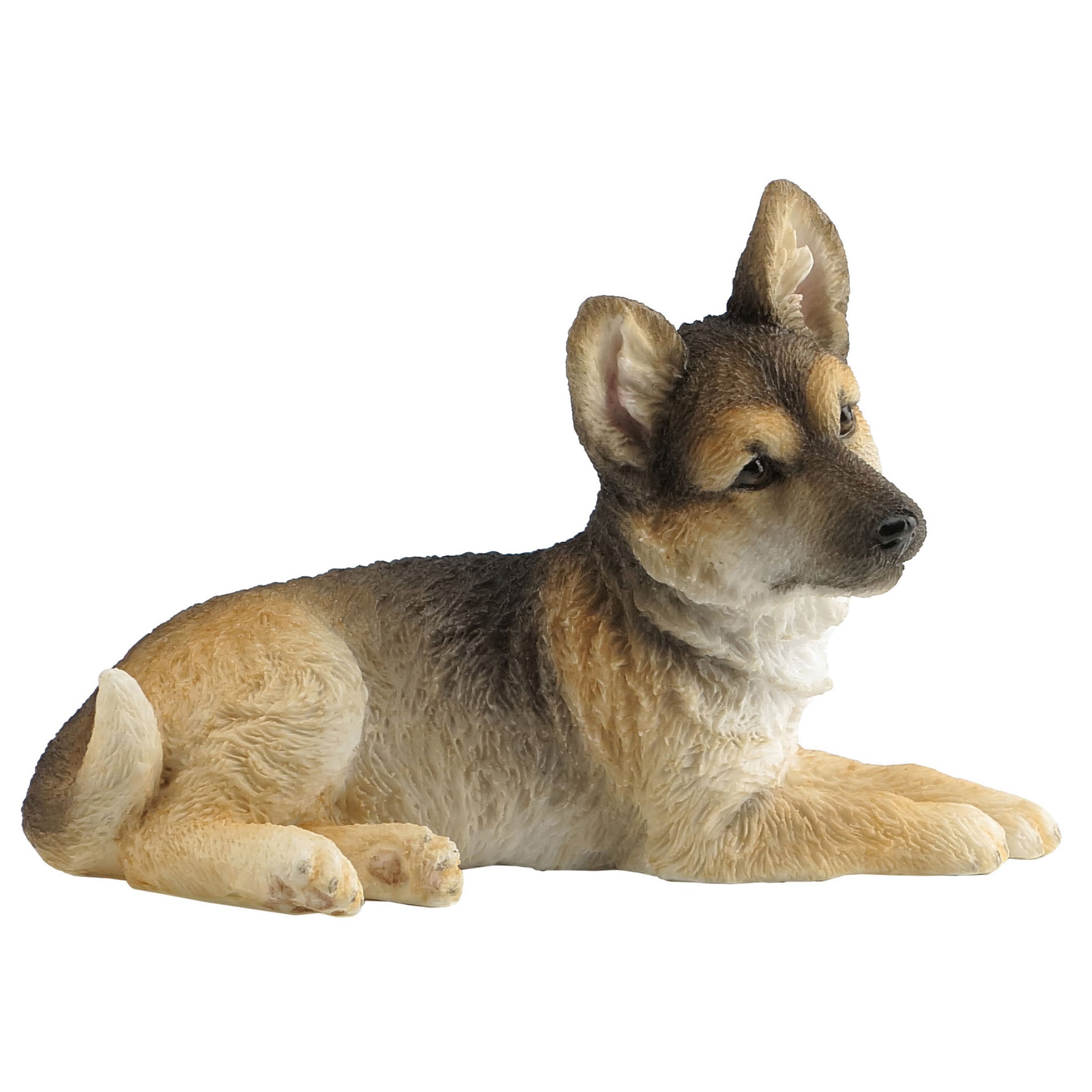 German Shepherd Puppy Sitting And Looking Towards Right