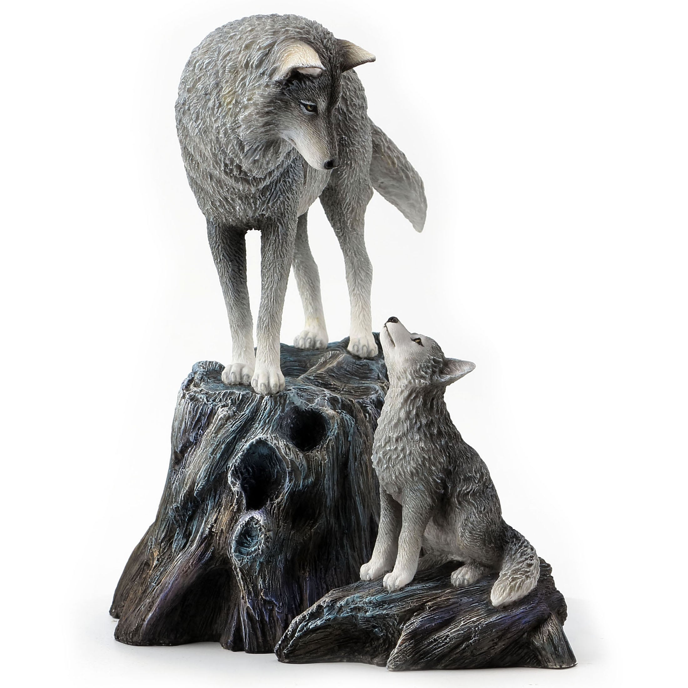 Guidance By Lisa Parker