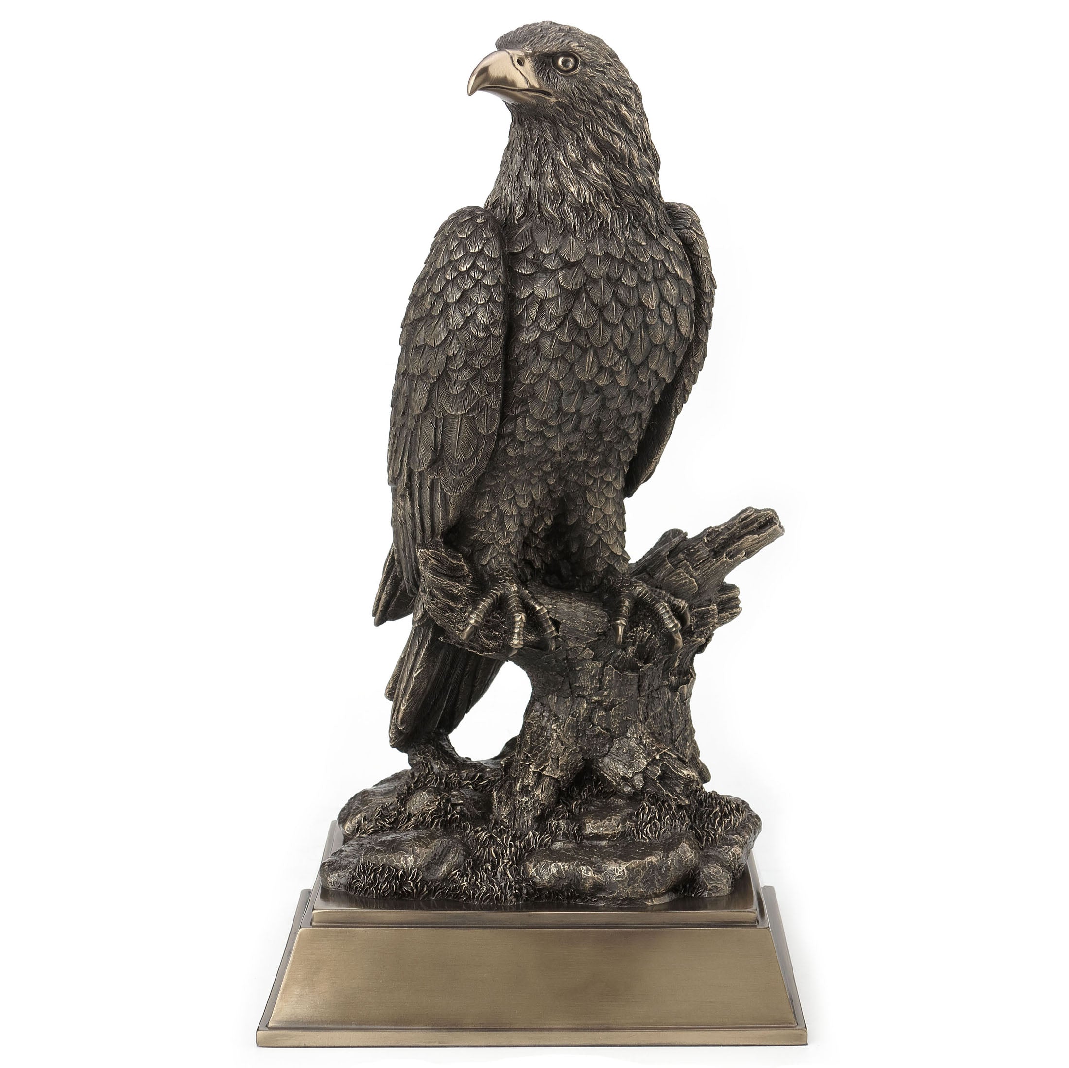 Bald Eagle Perching On Tree Branch