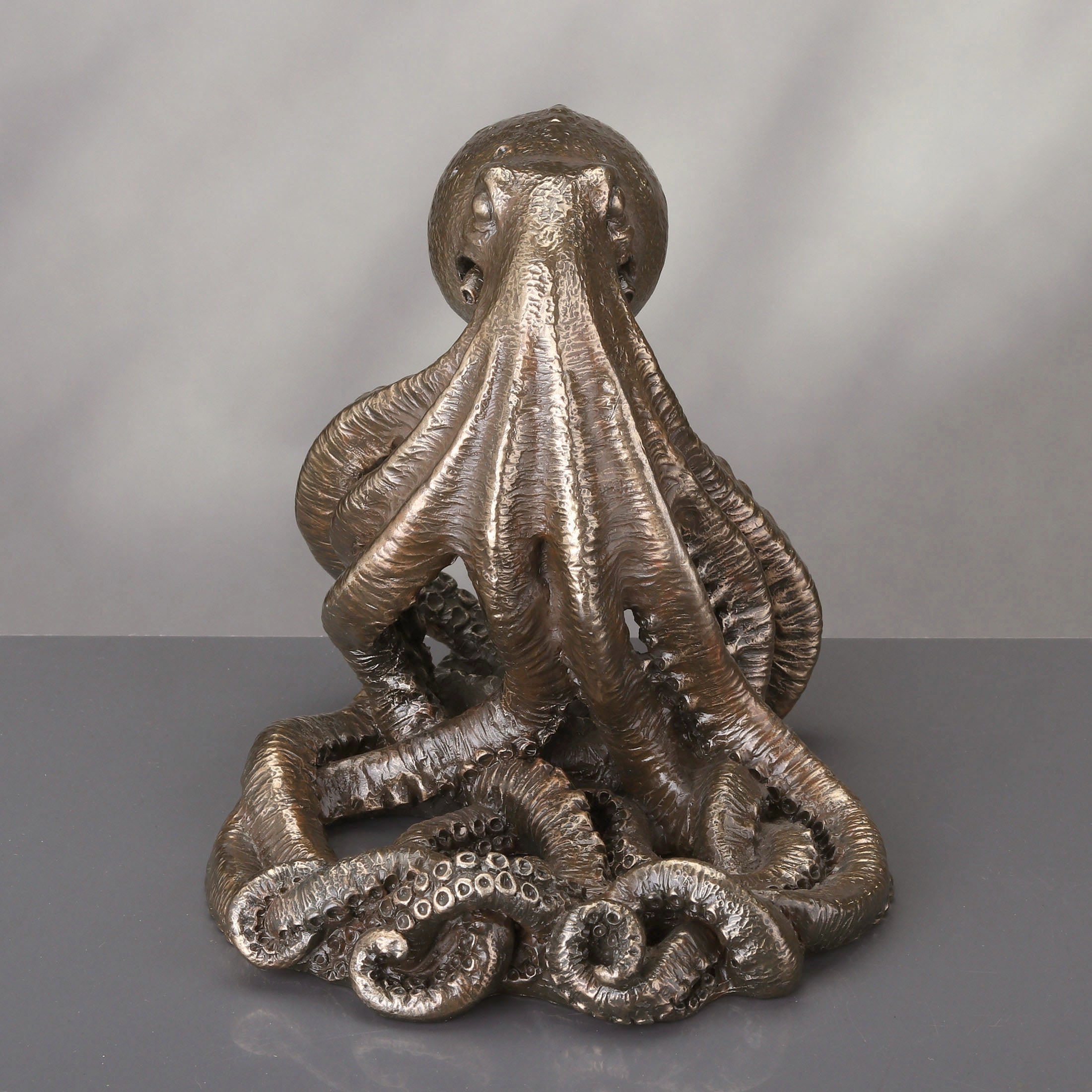 Octopus Tentacle Cellphone Display