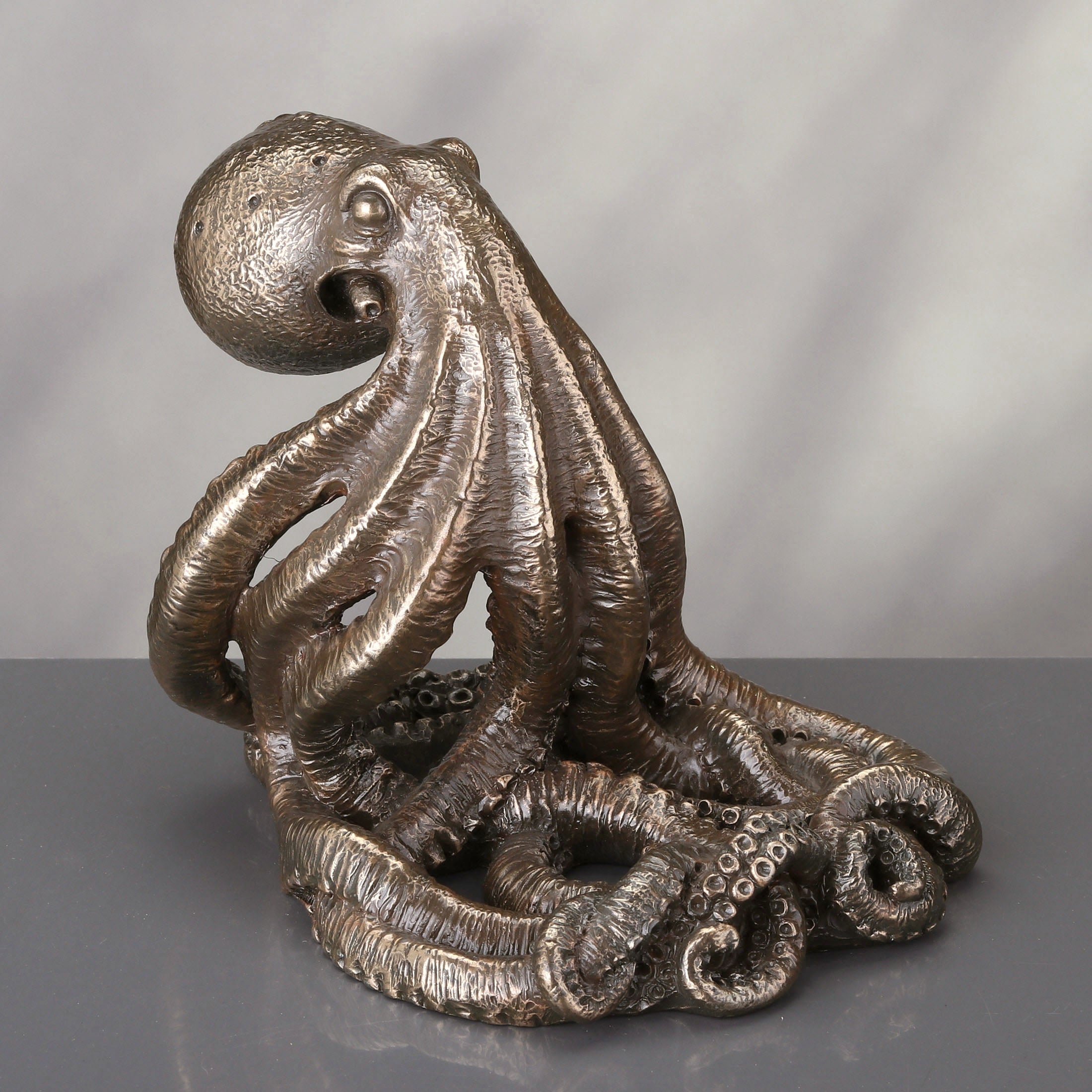 Octopus Tentacle Cellphone Display