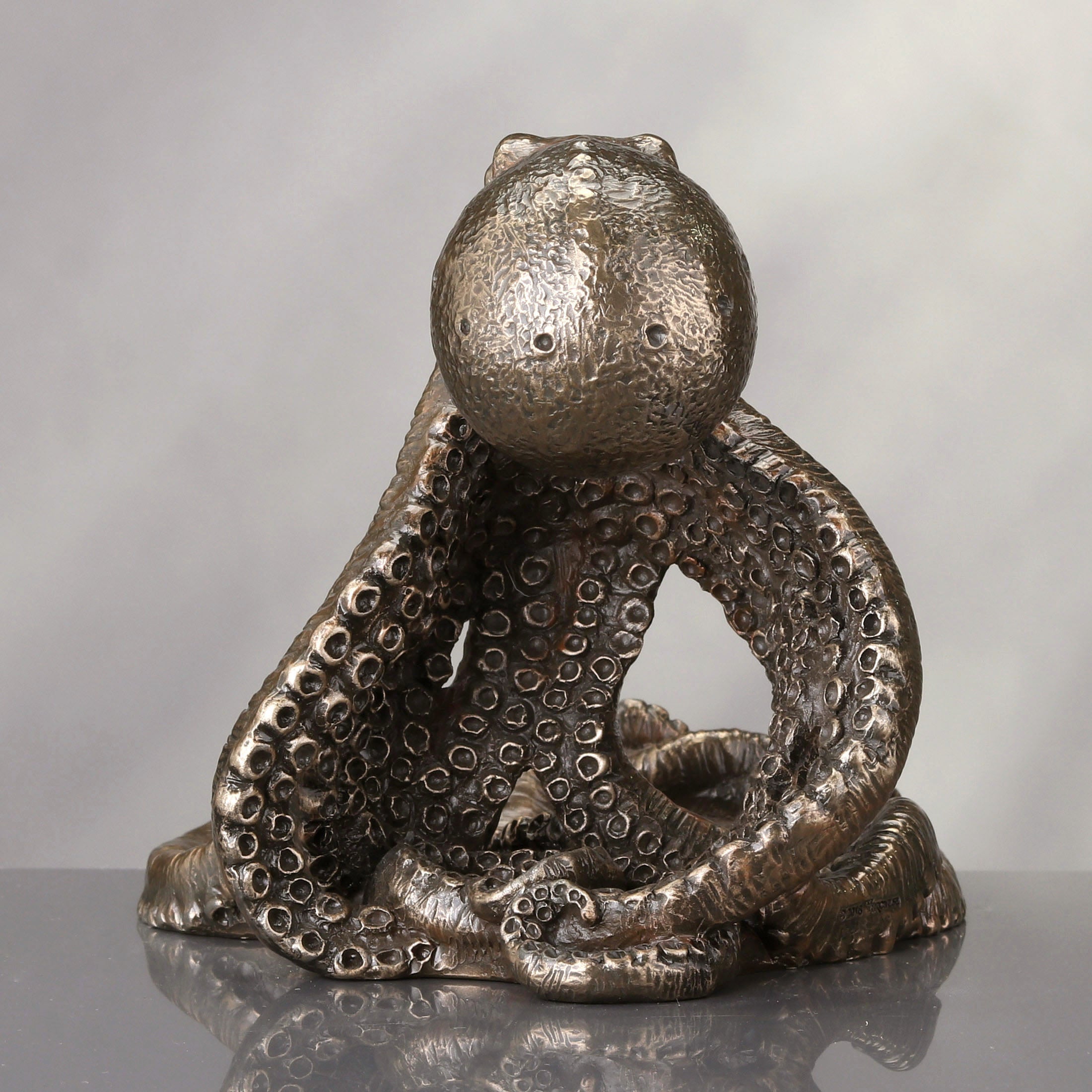 Octopus Tentacle Cellphone Display