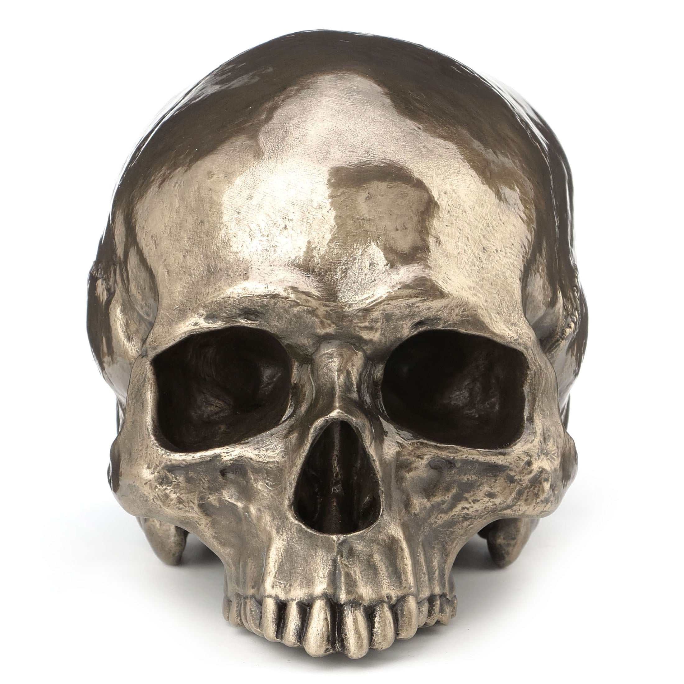 Human Skull (Jawless)