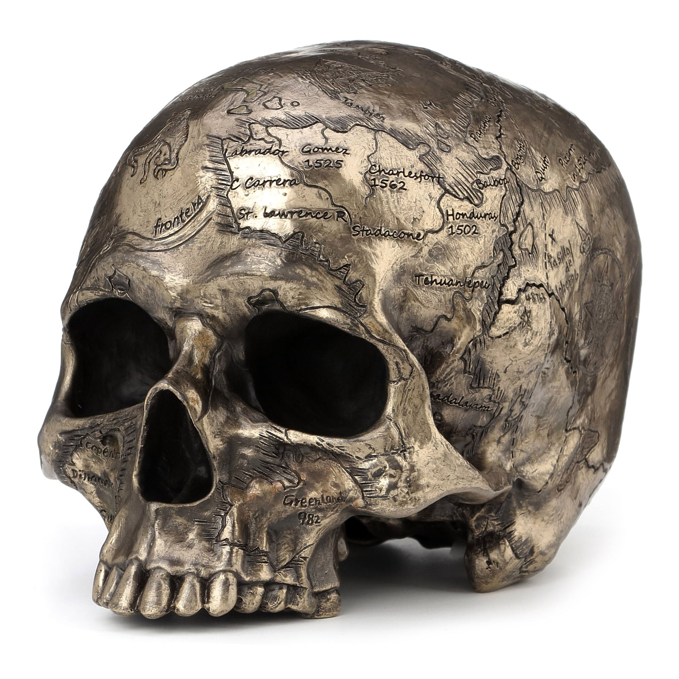 Craniumography Skull Map