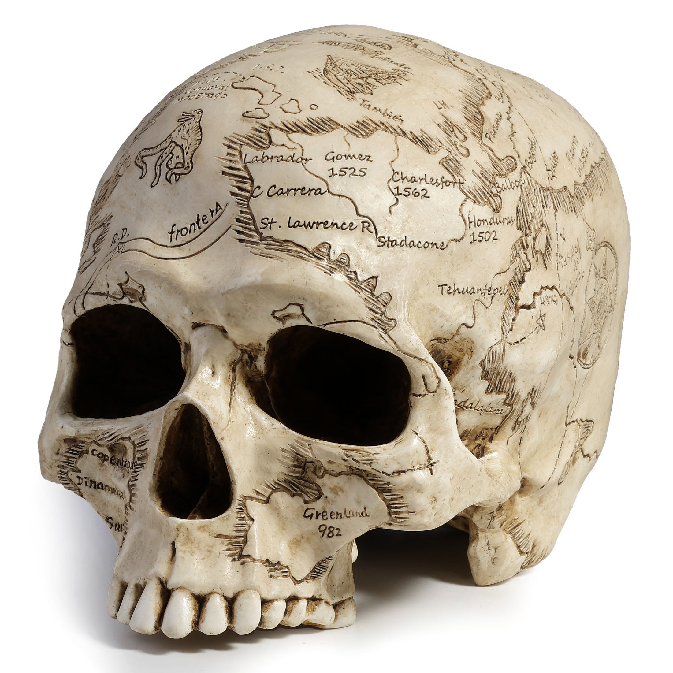Craniumography Skull Map