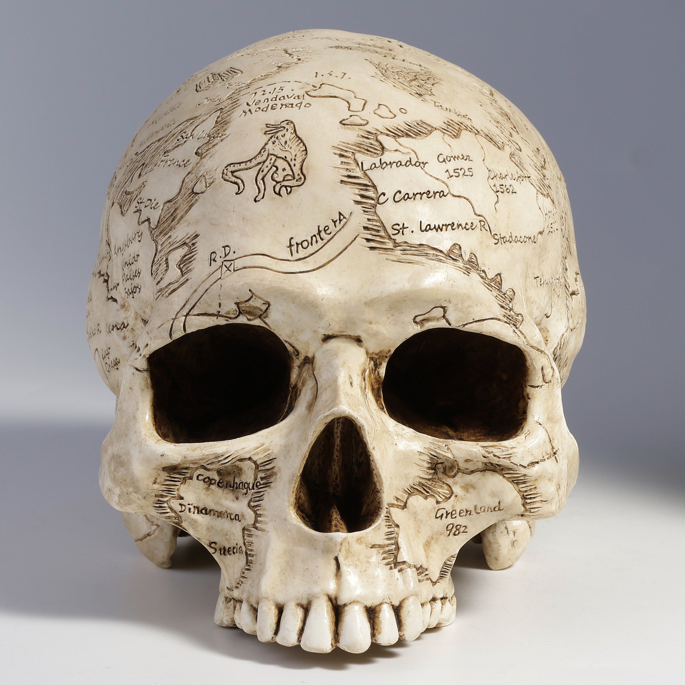 Craniumography Skull Map